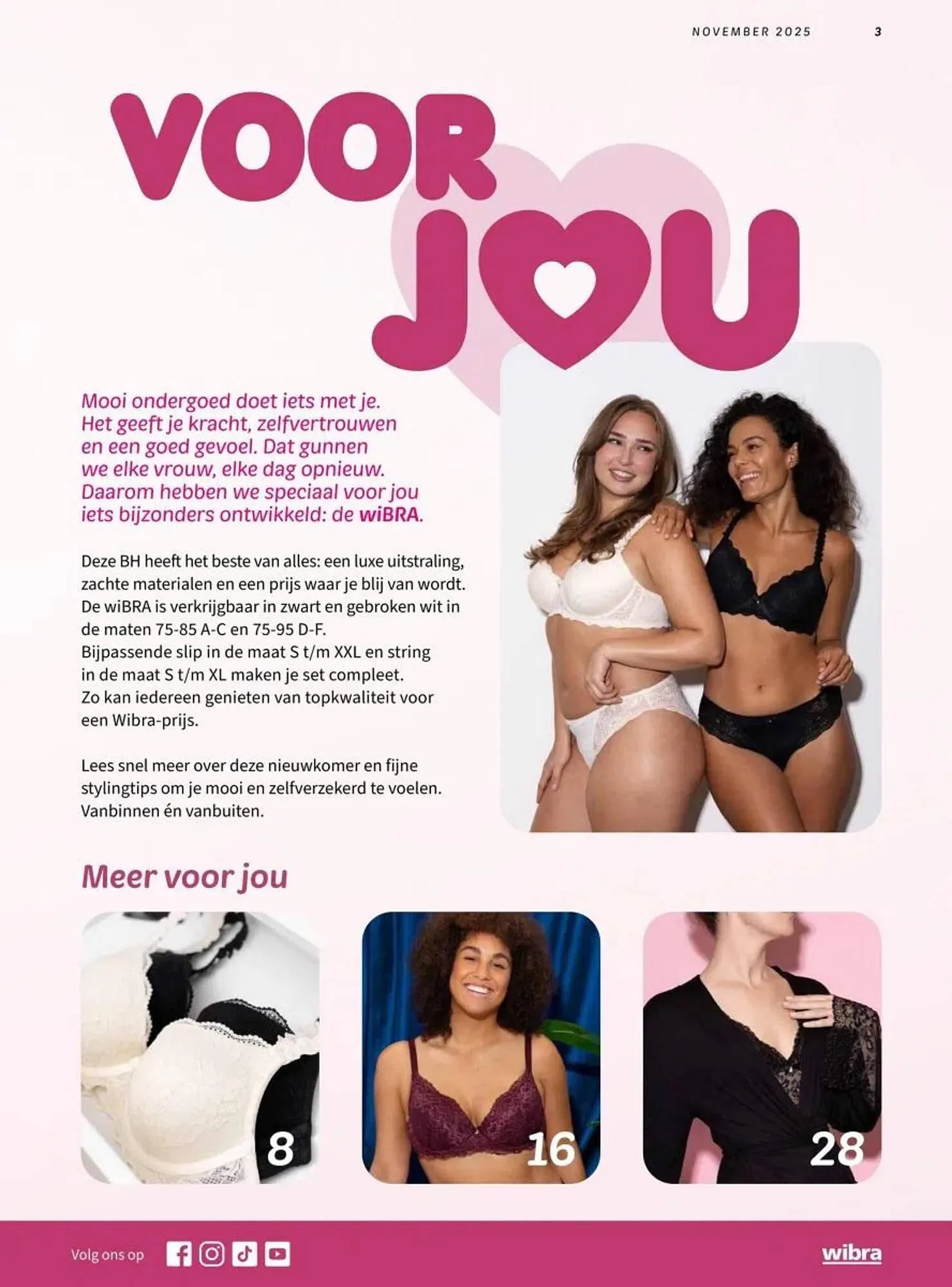 Wibra folder van 3 november tot 30 november 2025 - Folder pagina 3