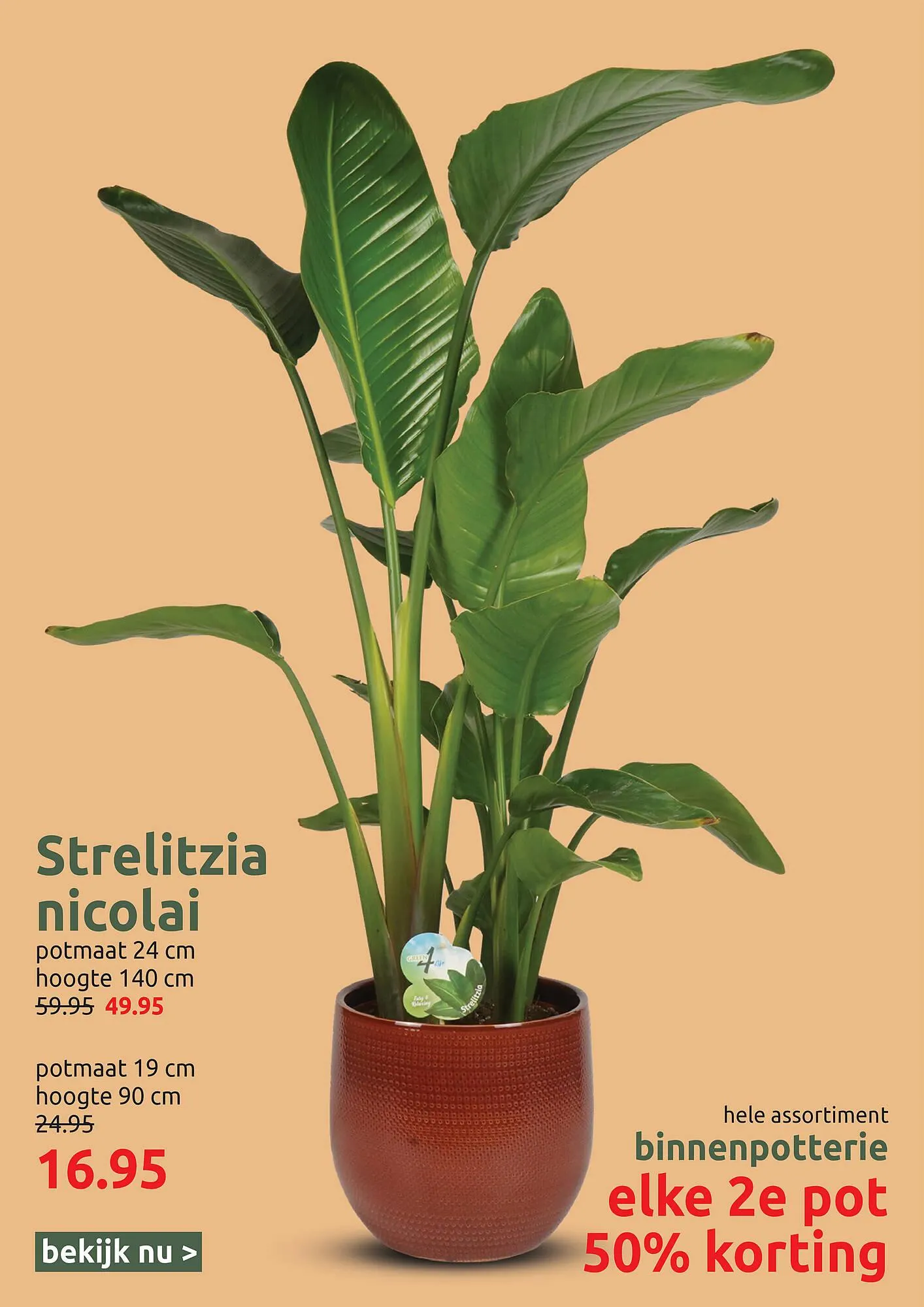 Deka Tuin folder van 3 maart tot 15 maart 2025 - Folder pagina 4