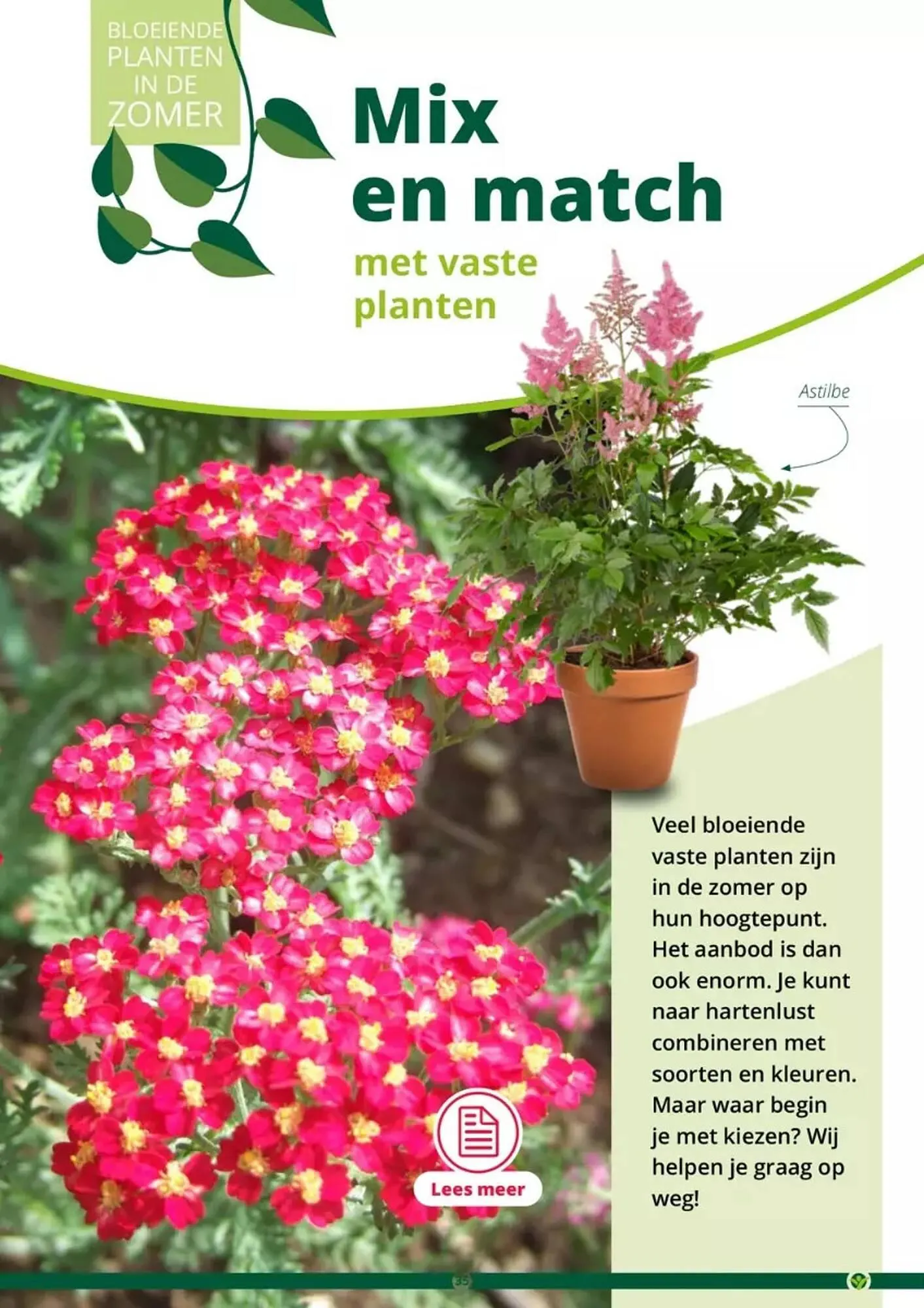 GroenRijk folder van 17 mei tot 31 augustus 2023 - Folder pagina 35