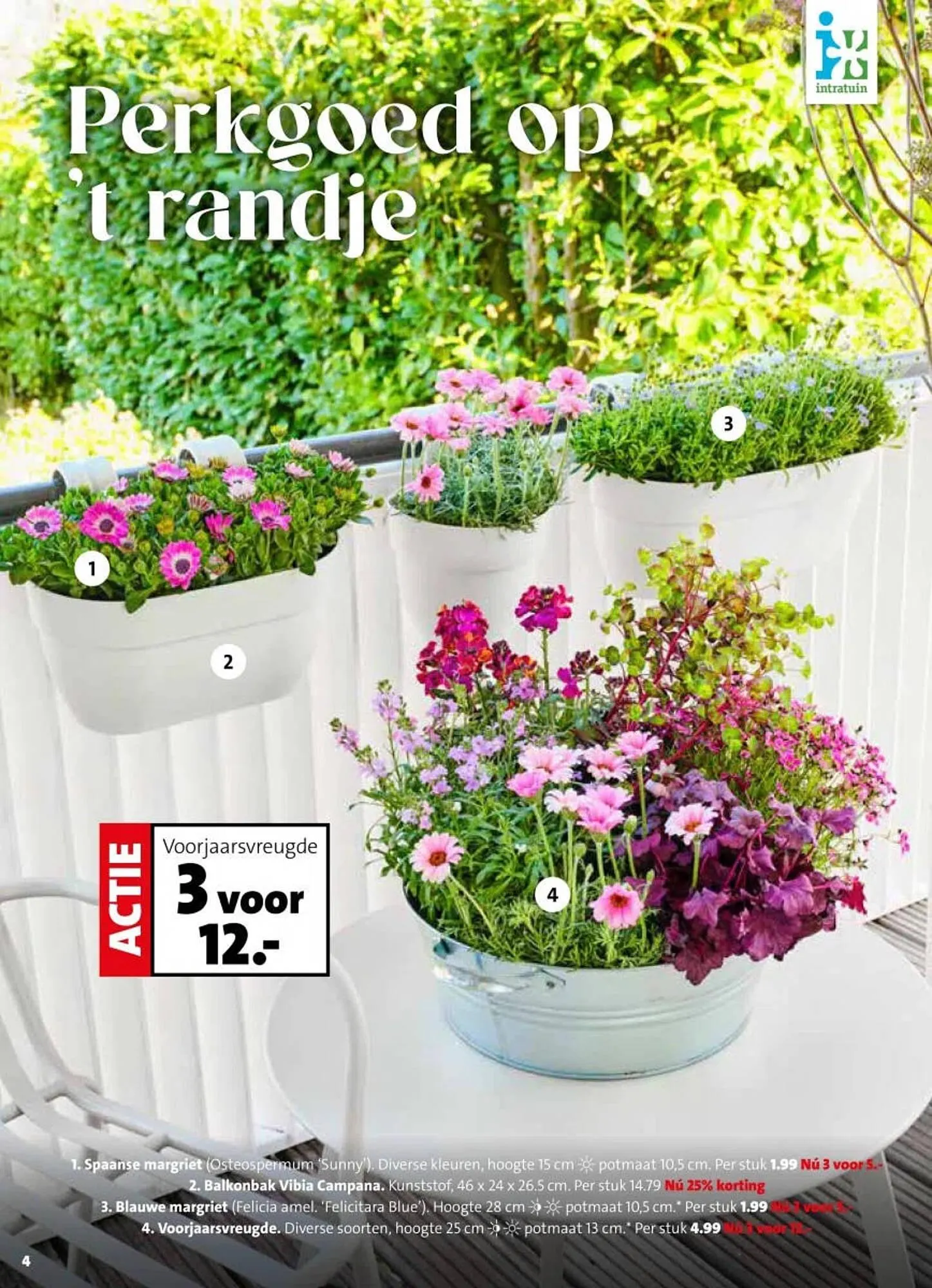 Intratuin folder van 30 maart tot 5 april 2026 - Folder pagina 4