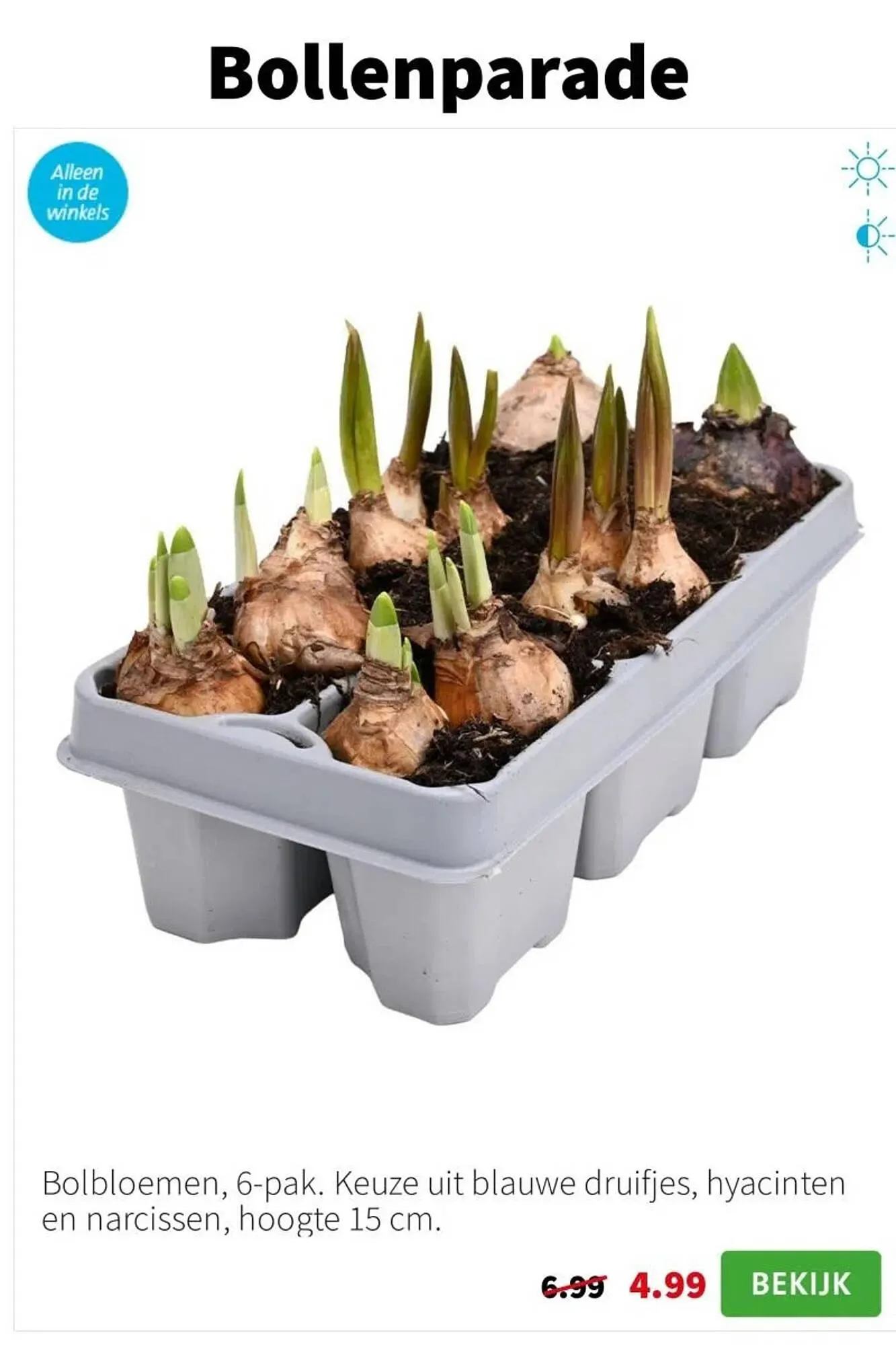 Intratuin folder van 19 januari tot 25 januari 2026 - Folder pagina 4