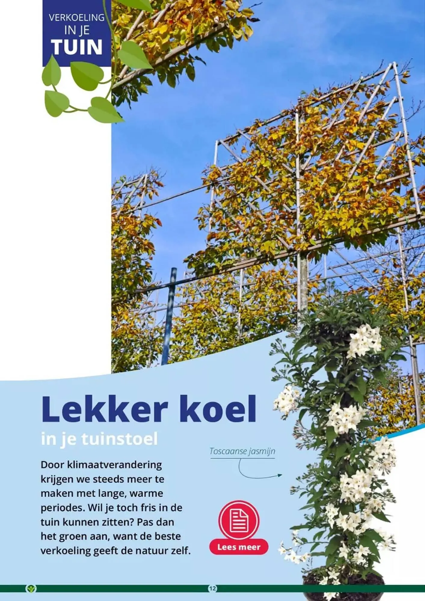 GroenRijk folder van 17 mei tot 31 augustus 2023 - Folder pagina 12