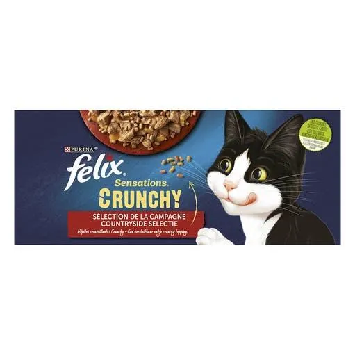 Natvoer voor katten Crunchy Crumble met vlees 10 stuks 85 g