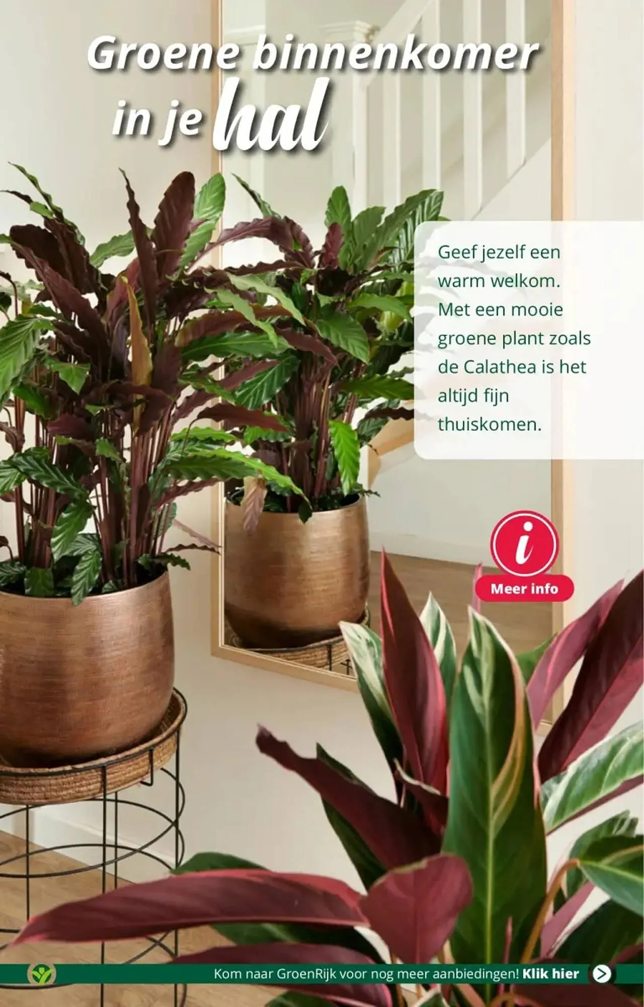 GroenRijk folder van 13 september tot 19 september 2023 - Folder pagina 3