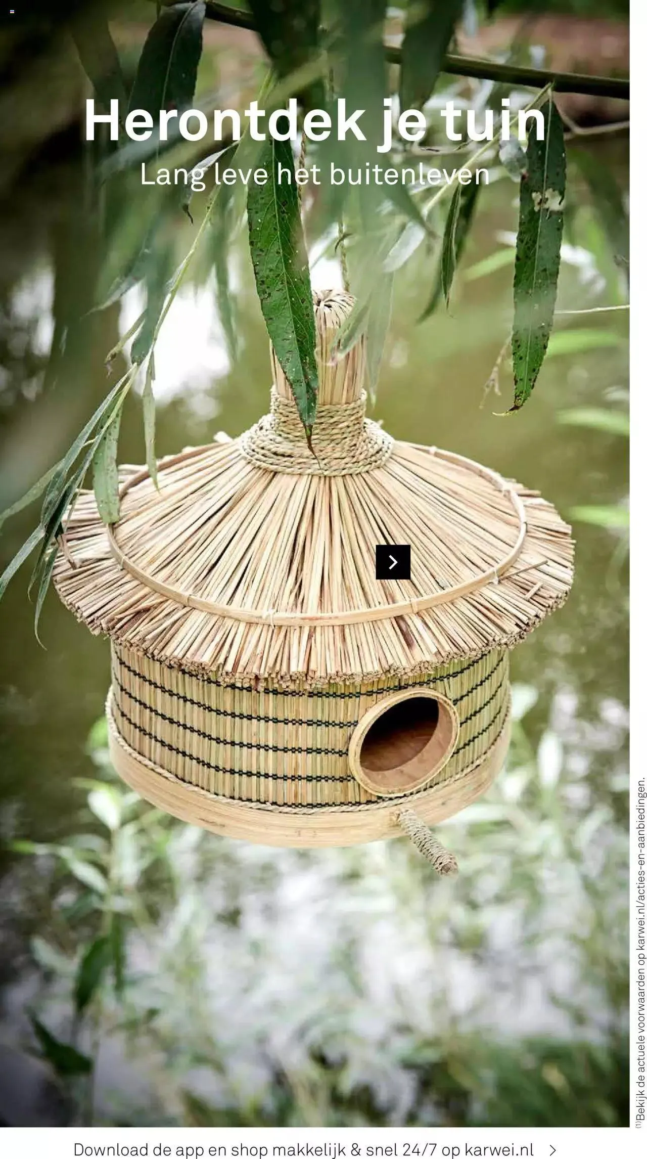 KARWEI - Tuincatalogus van 4 maart tot 31 december 2024 - Folder pagina 41