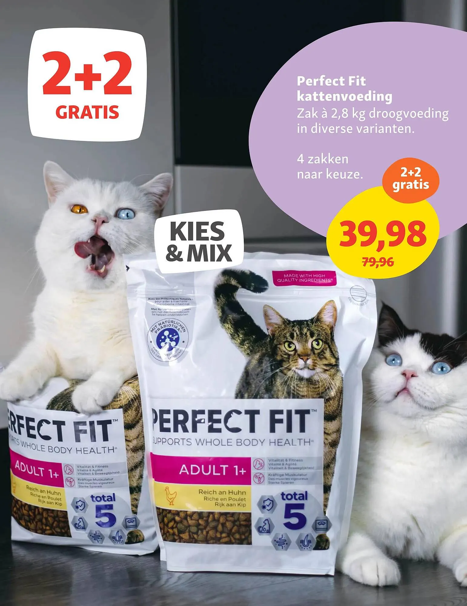 Maxi Zoo folder van 7 april tot 20 april 2025 - Folder pagina 3