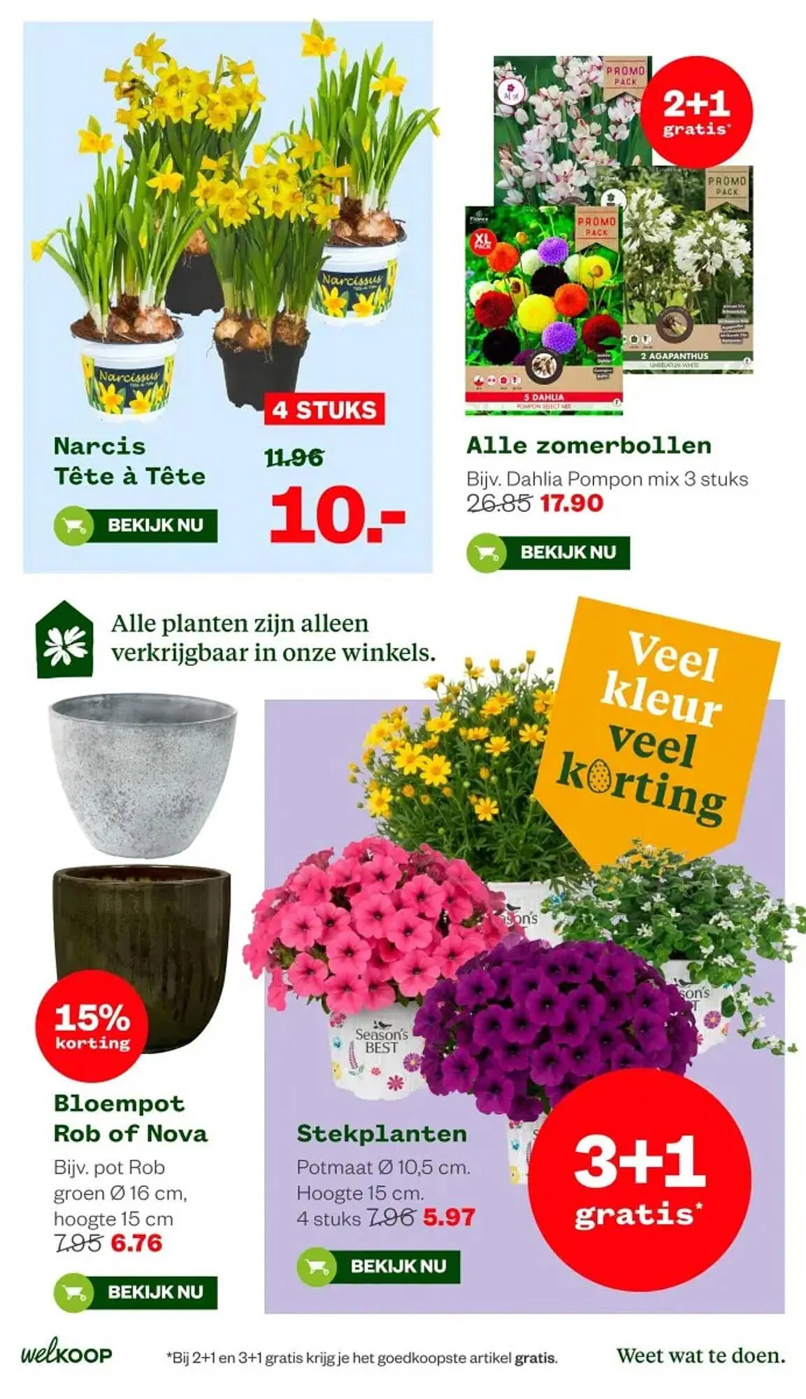 Welkoop folder van 30 maart tot 5 april 2026 - Folder pagina 3