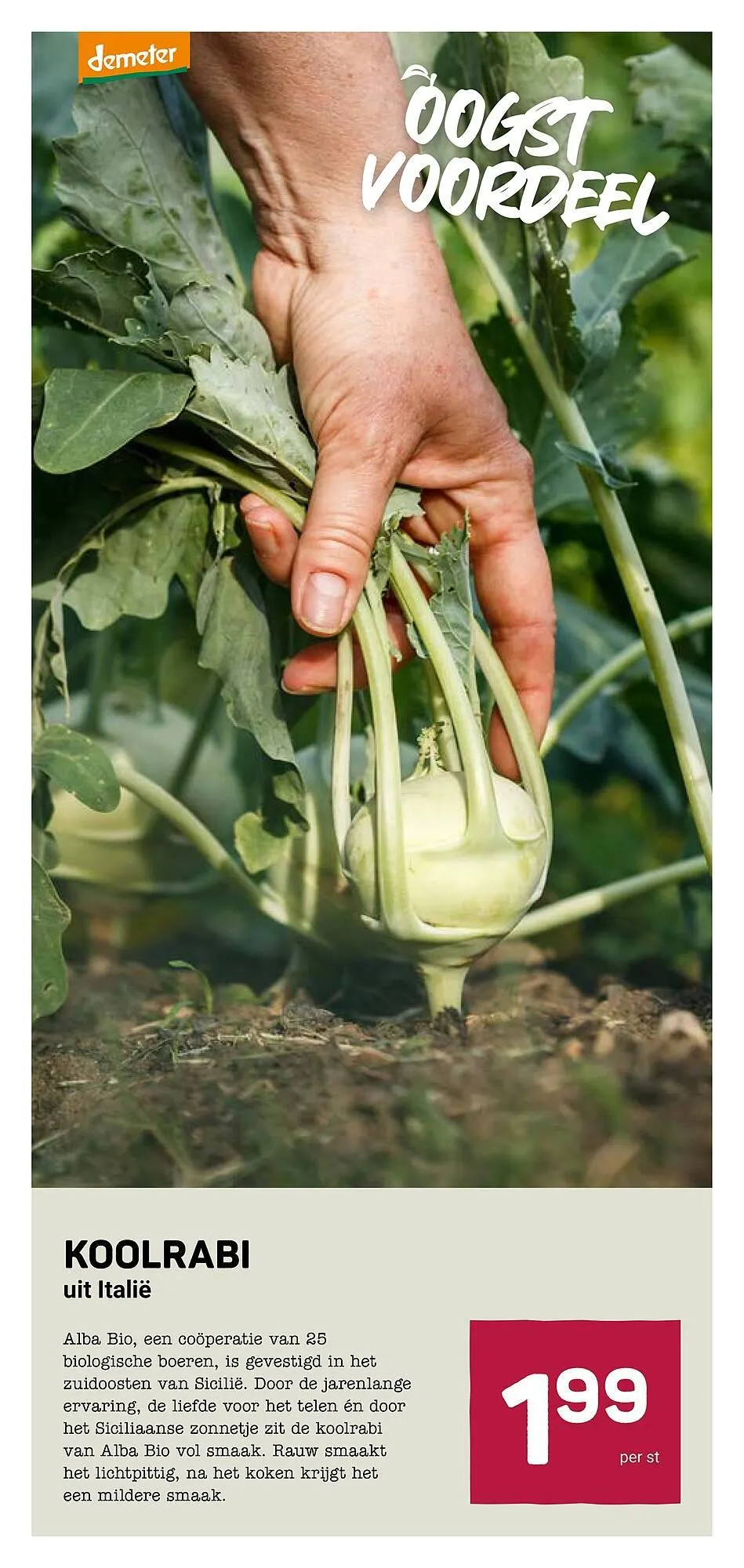 Ekoplaza folder van 25 februari tot 3 maart 2026 - Folder pagina 13