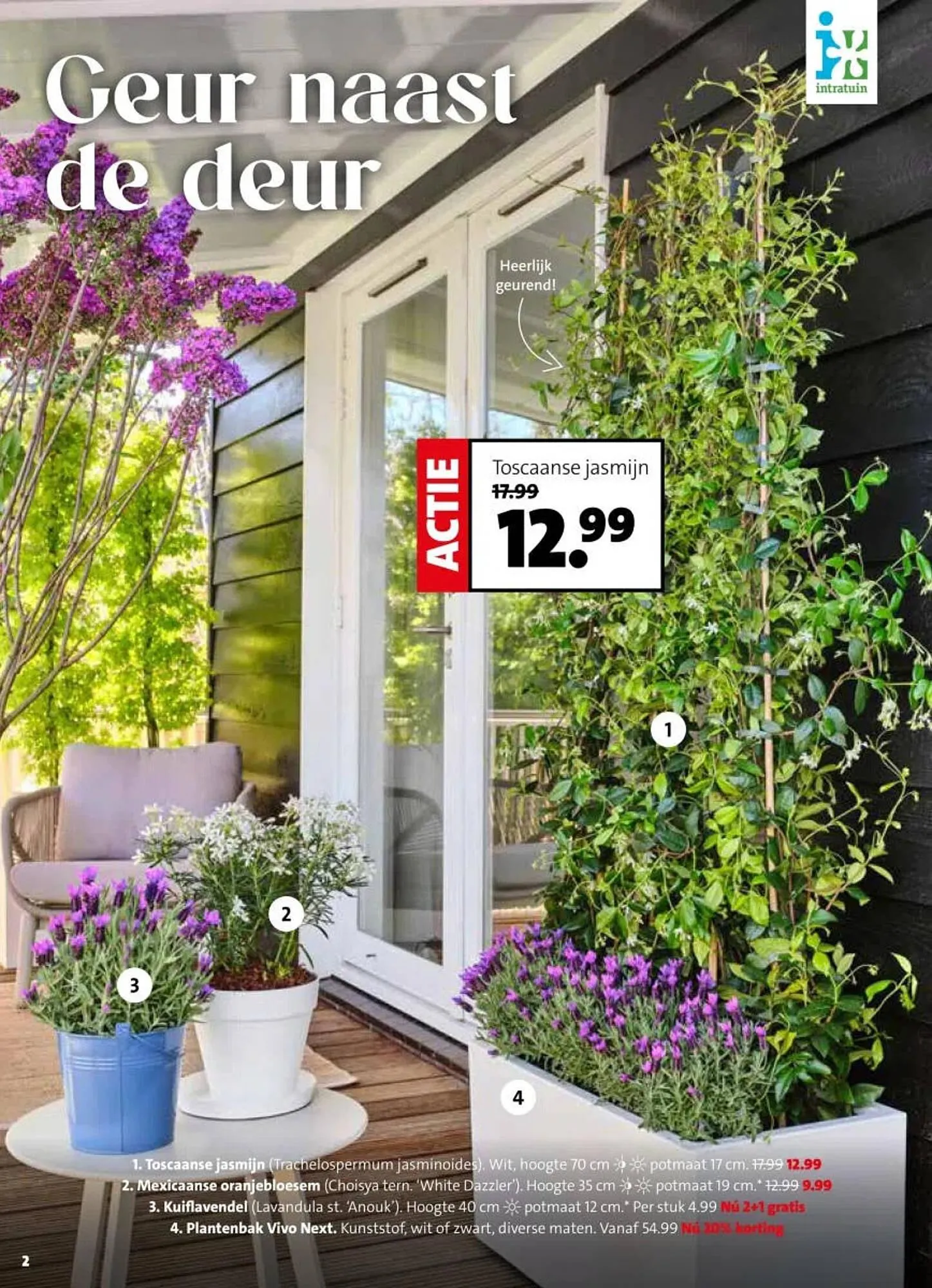 Intratuin folder van 30 maart tot 5 april 2026 - Folder pagina 2