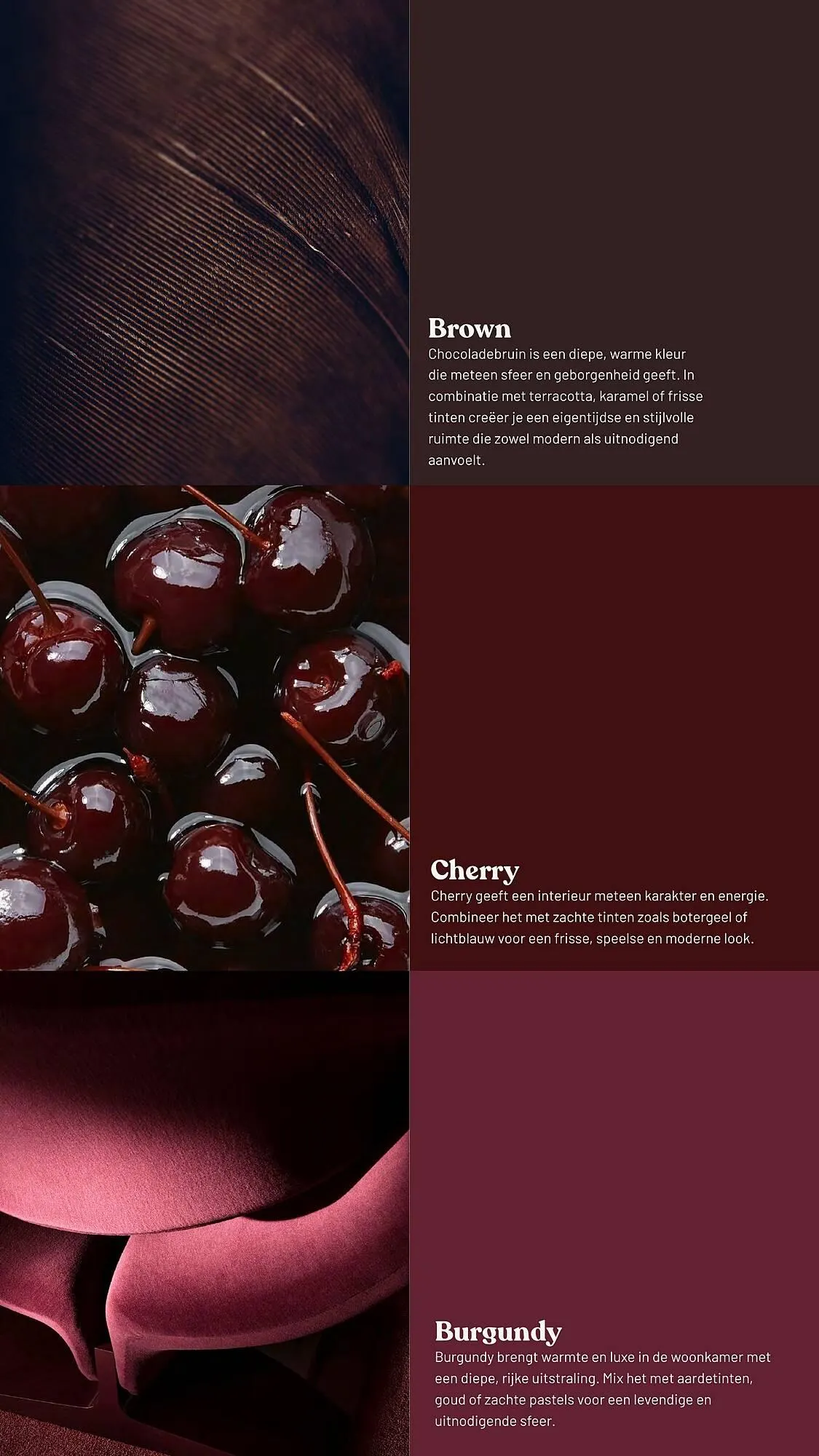 Piet Klerkx folder van 1 maart tot 30 november 2026 - Folder pagina 6