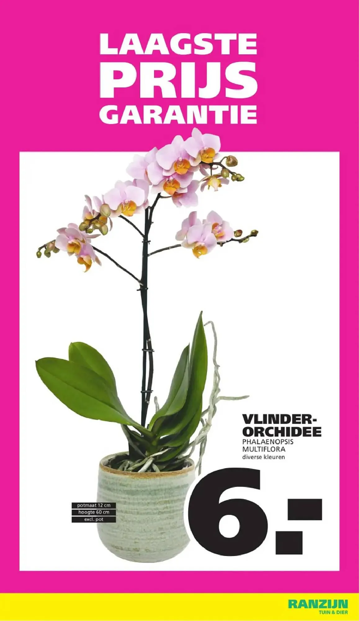 Ranzijn folder van 22 maart tot 28 maart 2026 - Folder pagina 2