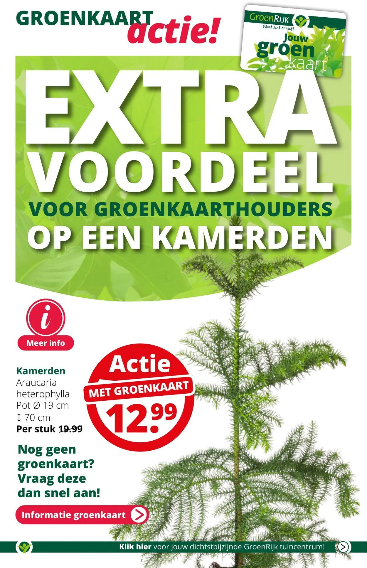 GroenRijk Actuele folder van 21 januari tot 4 februari 2025 - Folder pagina 6