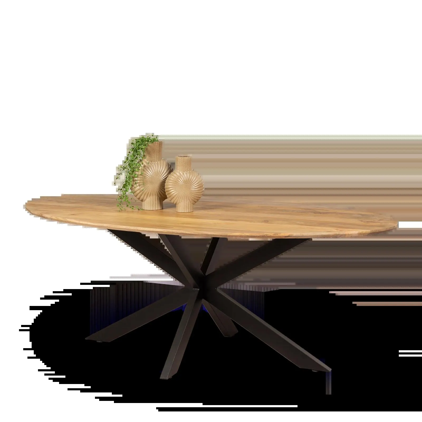 Eettafel (ovaal - 220x110cm) Blaine Naturel (sale)