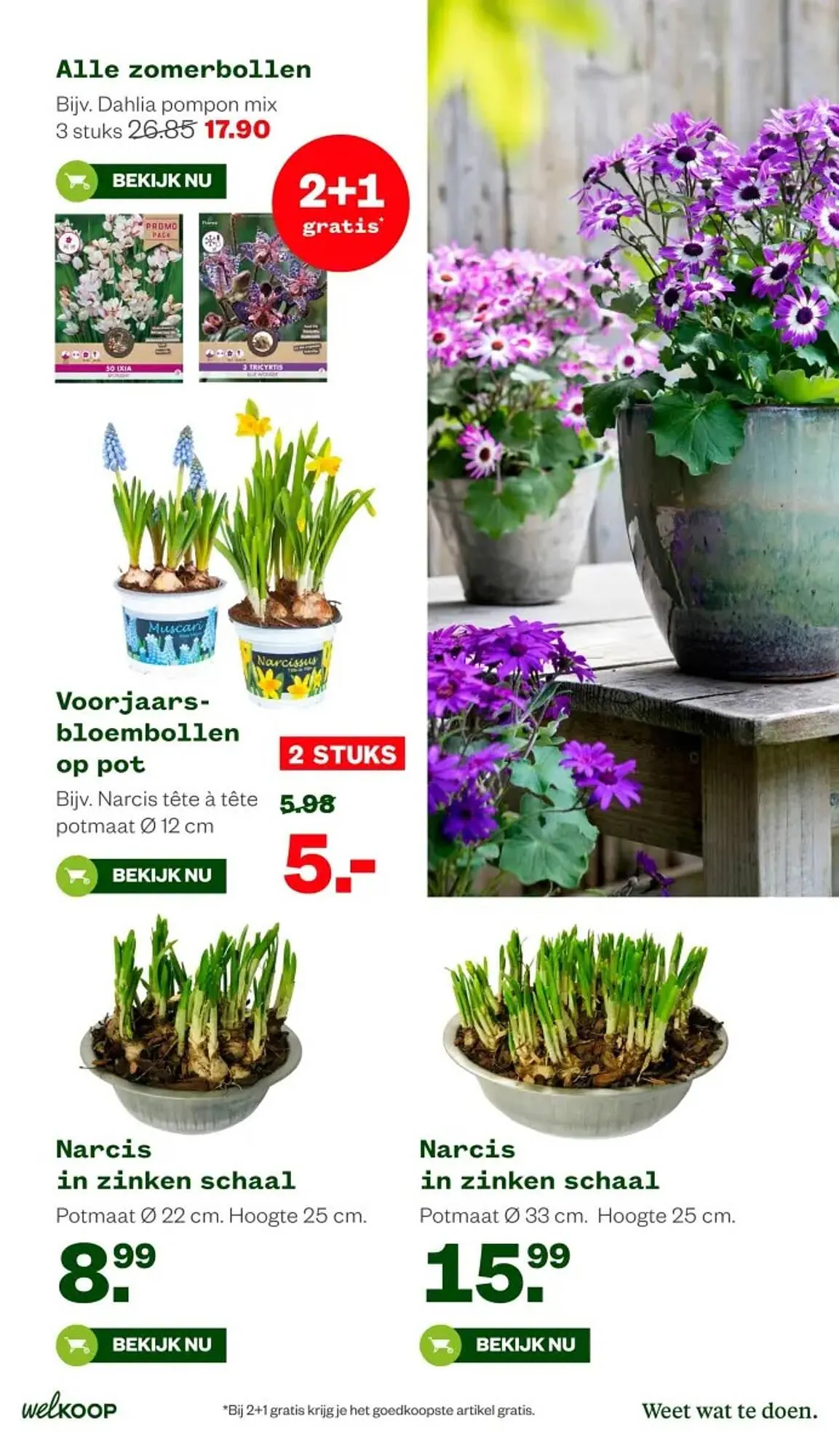 Welkoop folder van 2 februari tot 15 februari 2026 - Folder pagina 15