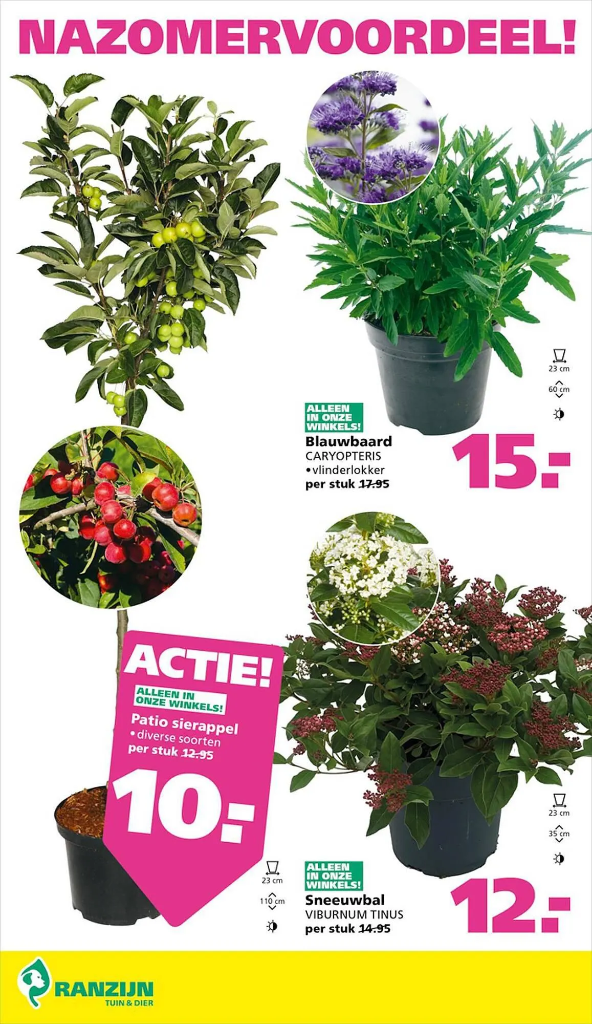 Ranzijn folder van 17 september tot 23 september 2023 - Folder pagina 4