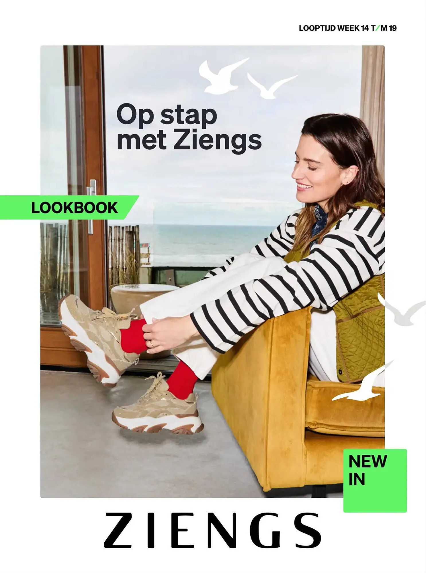 Ziengs folder - 1