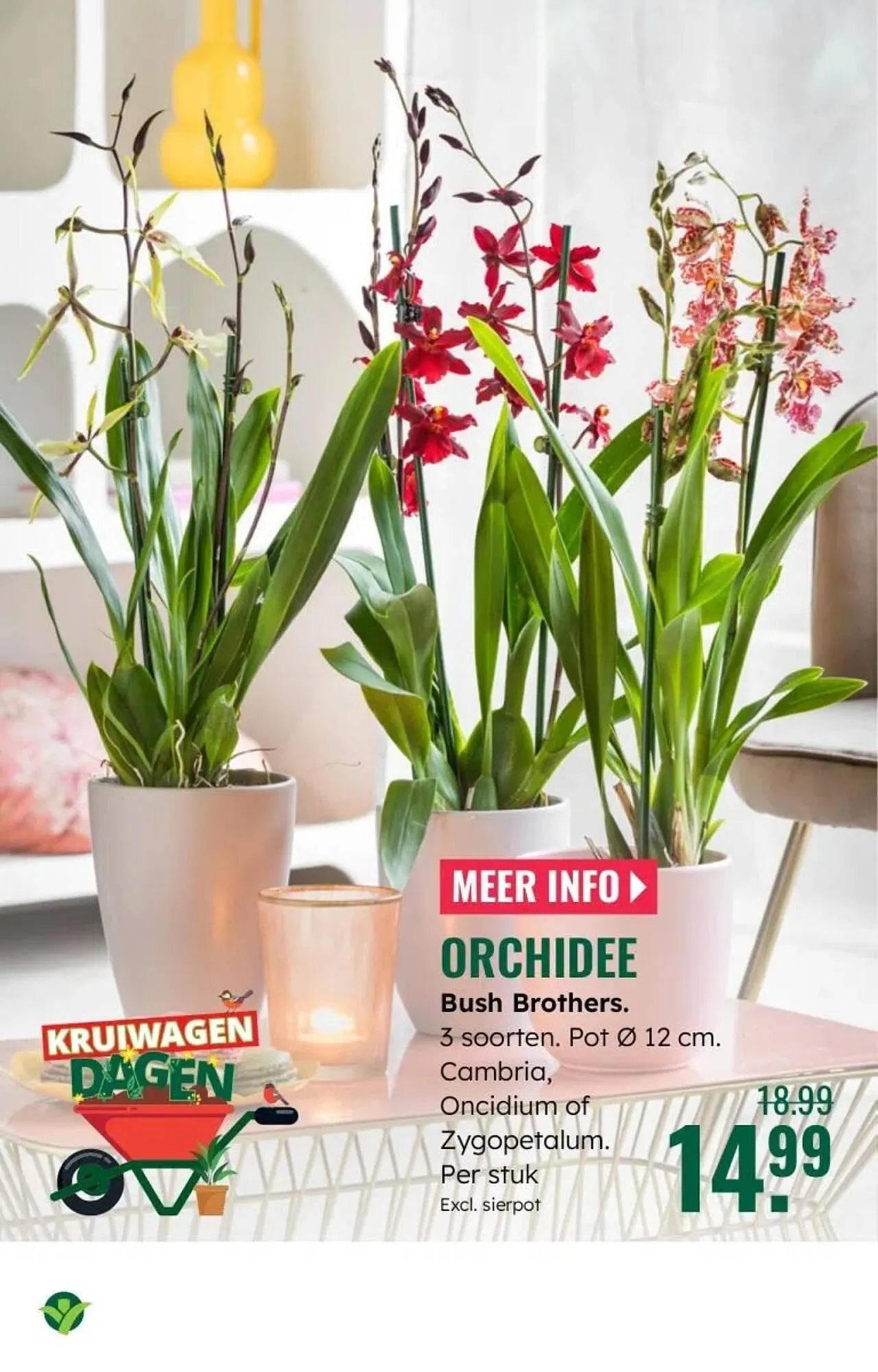 GroenRijk folder van 5 maart tot 11 maart 2026 - Folder pagina 18