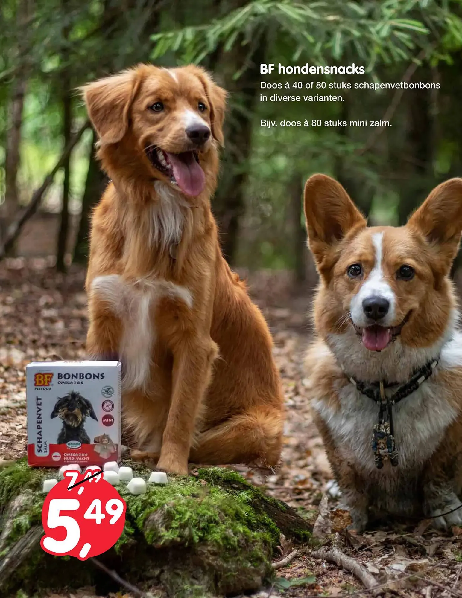 Jumper folder van 25 september tot 8 oktober 2023 - Folder pagina 17