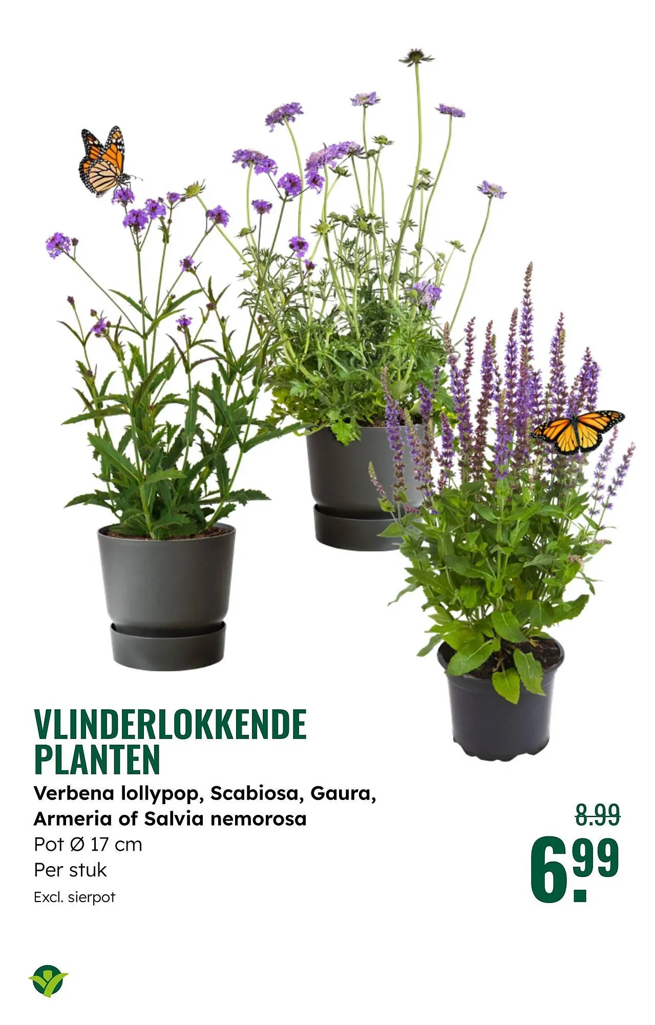 GroenRijk folder van 16 april tot 29 april 2025 - Folder pagina 8