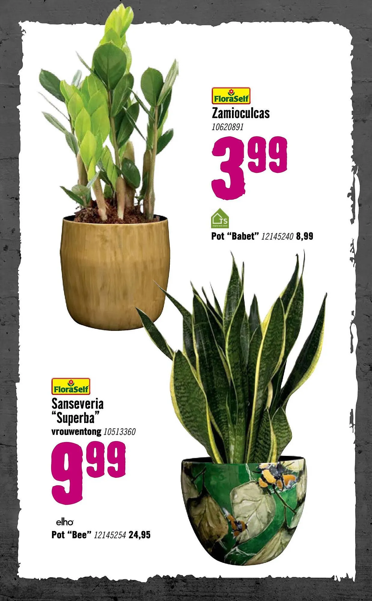 Hornbach folder van 5 januari tot 8 februari 2026 - Folder pagina 77