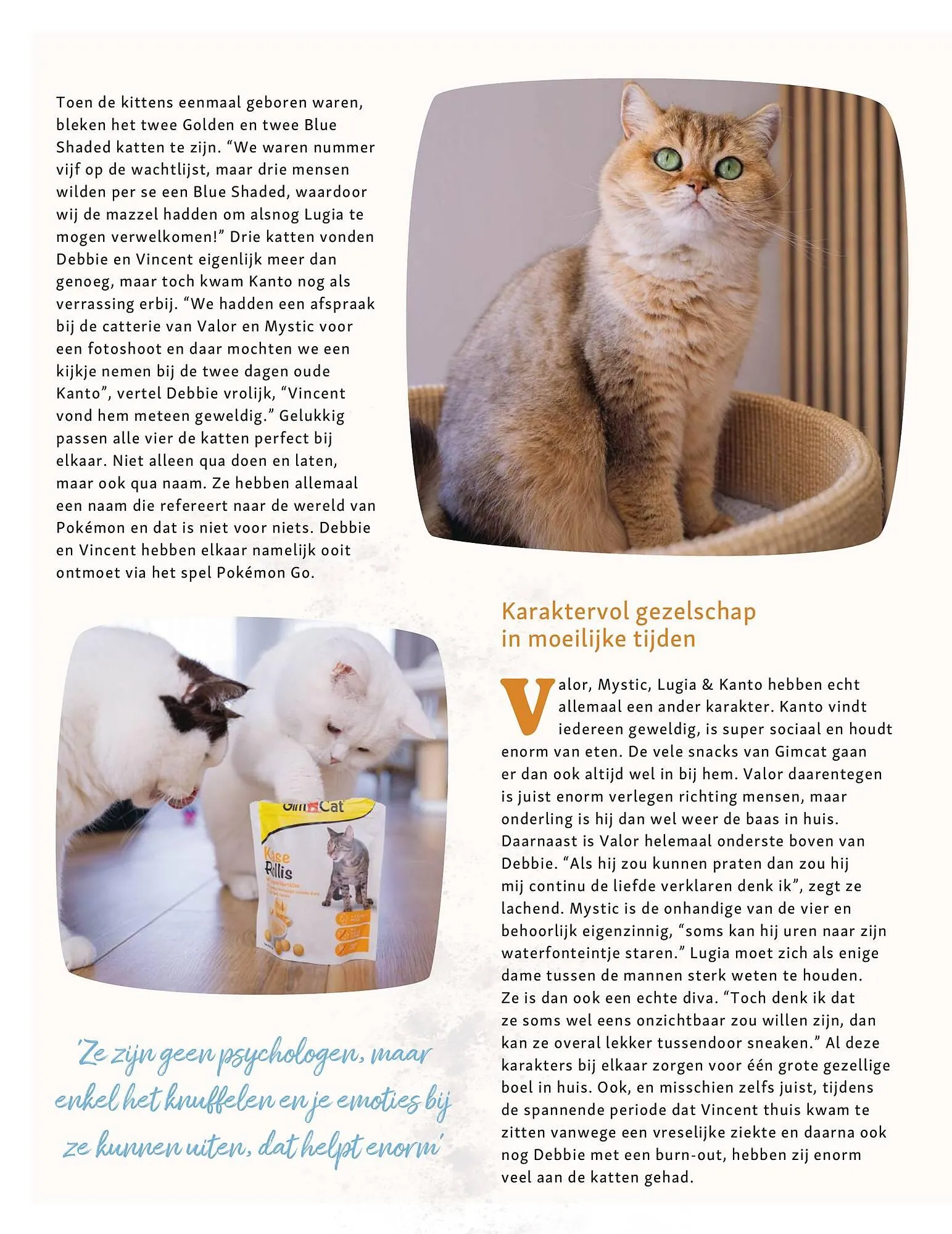 Maxi Zoo folder van 28 april tot 4 mei 2025 - Folder pagina 22