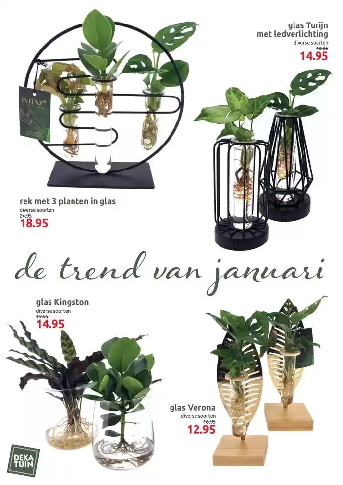 Januari kleurt groen van 8 januari tot 12 januari 2025 - Folder pagina 2