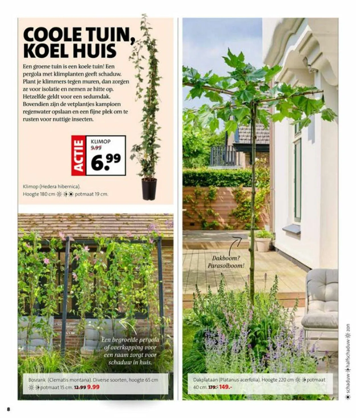 Intratuin Actuele folder van 3 augustus tot 17 augustus 2025 - Folder pagina 8