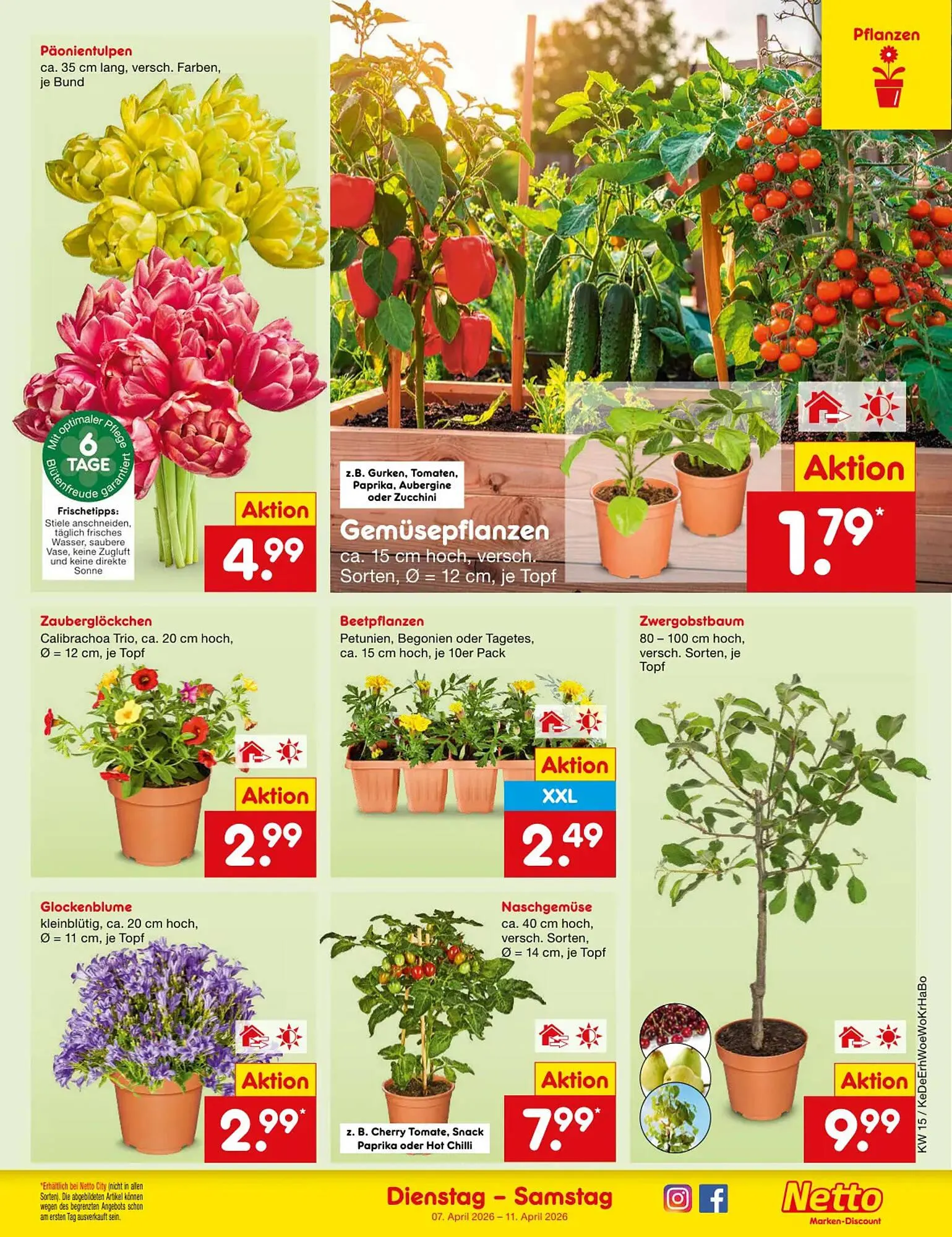 Netto Marken-Discount DE folder van 7 april tot 11 april 2026 - Folder pagina 9
