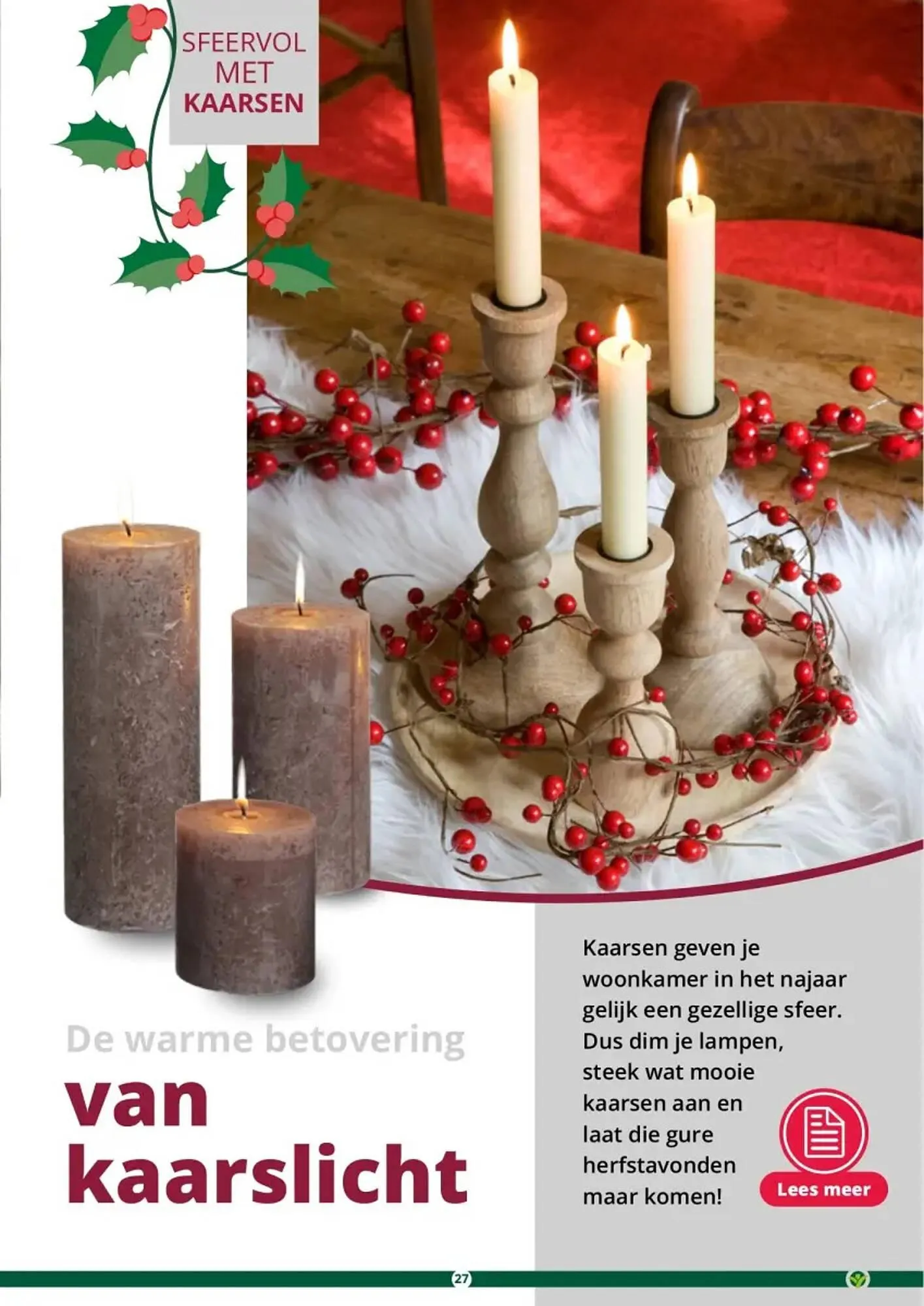 GroenRijk folder van 1 november tot 26 december 2023 - Folder pagina 27