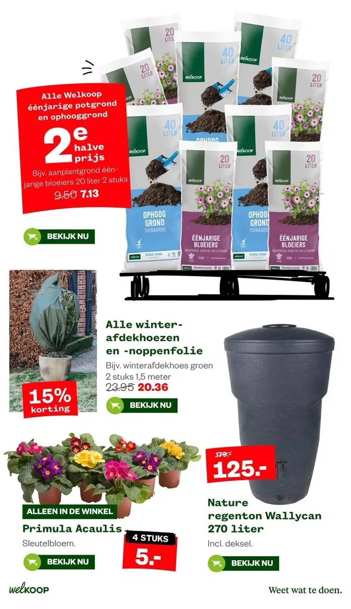 Welkoop folder van 29 december tot 4 januari 2026 - Folder pagina 12