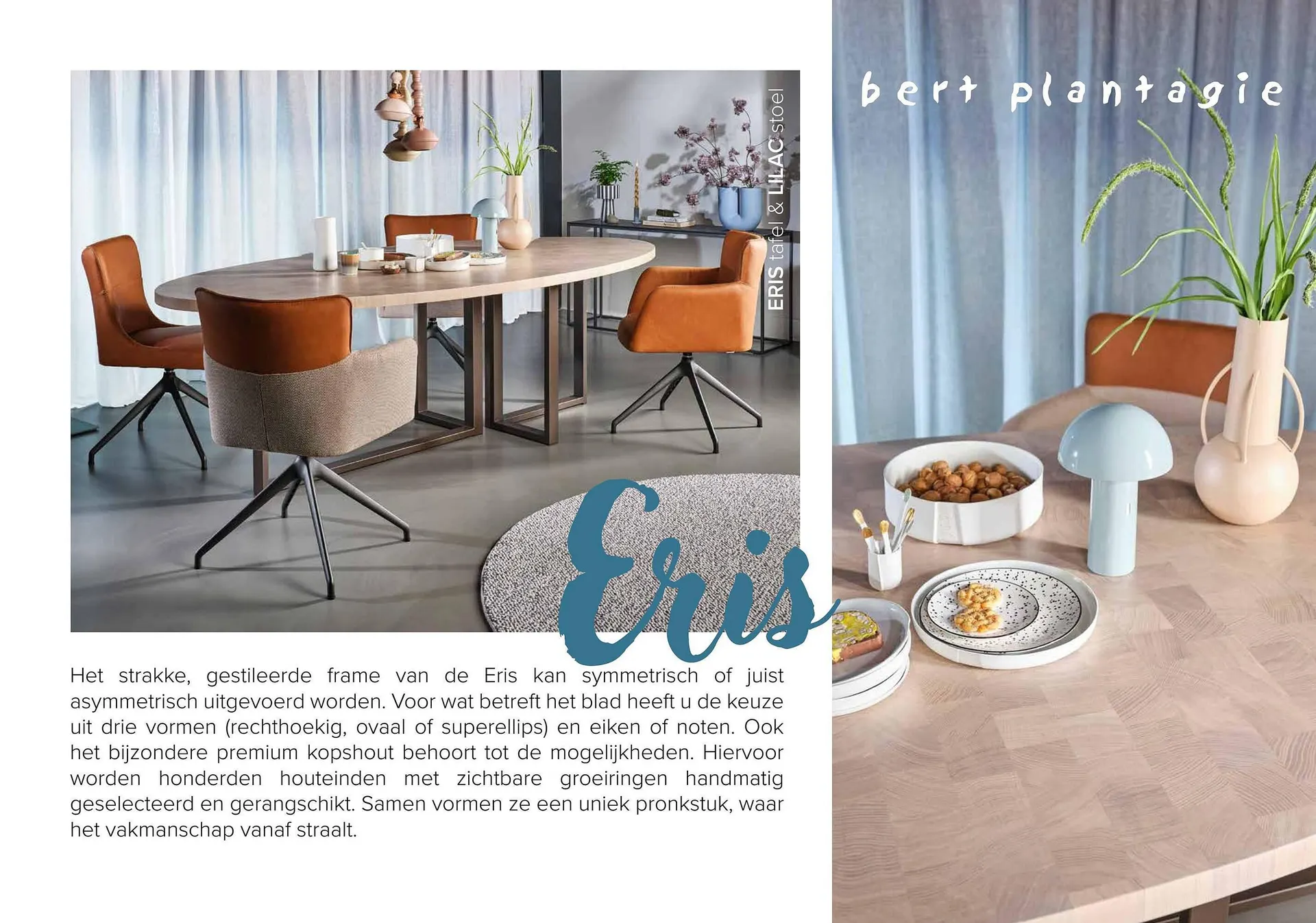 Donjon folder van 1 maart tot 29 februari 2024 - Folder pagina 293