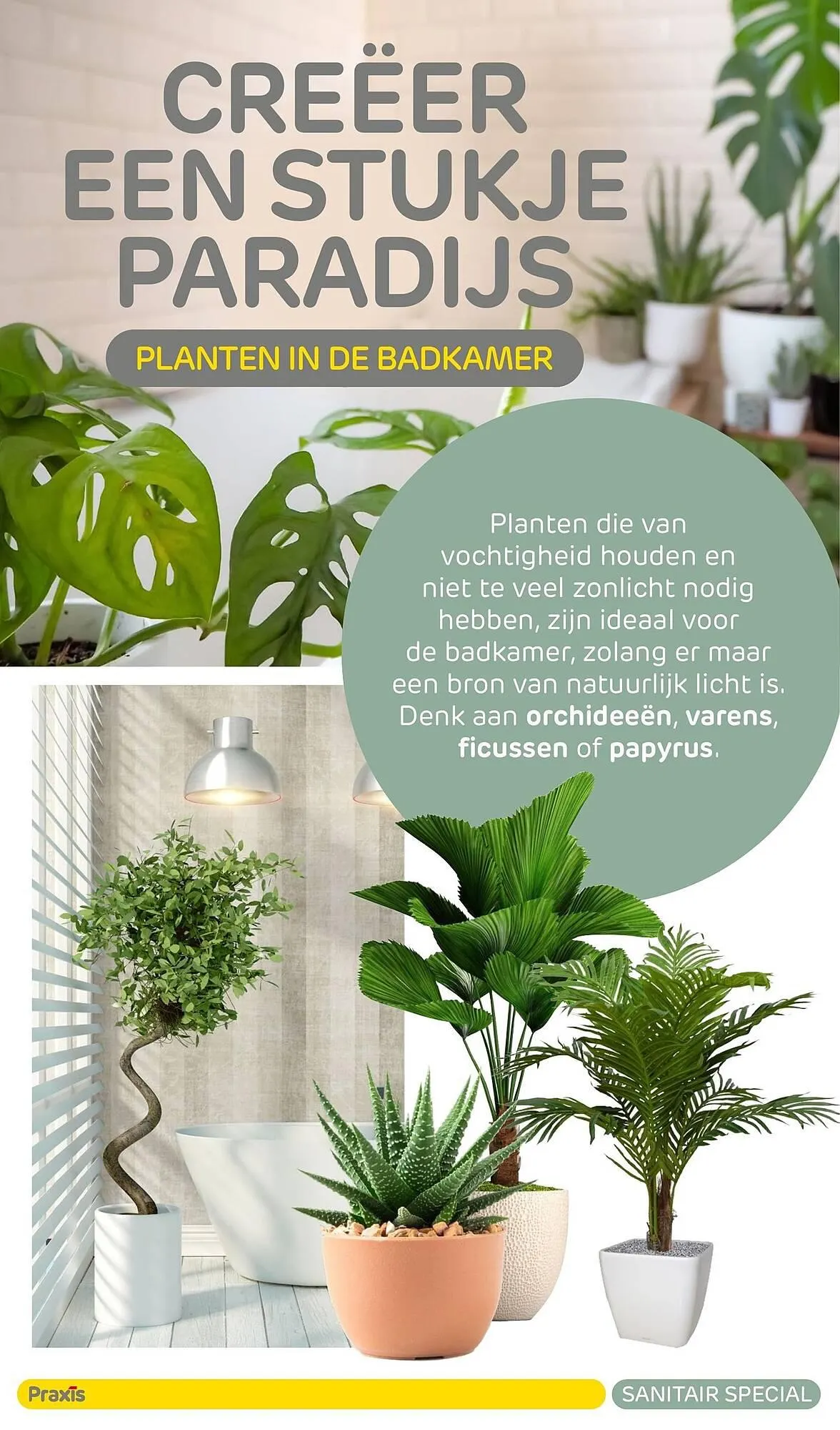 Praxis Sanitair folder 2022/2022 van 27 december tot 31 december 2023 - Folder pagina 54