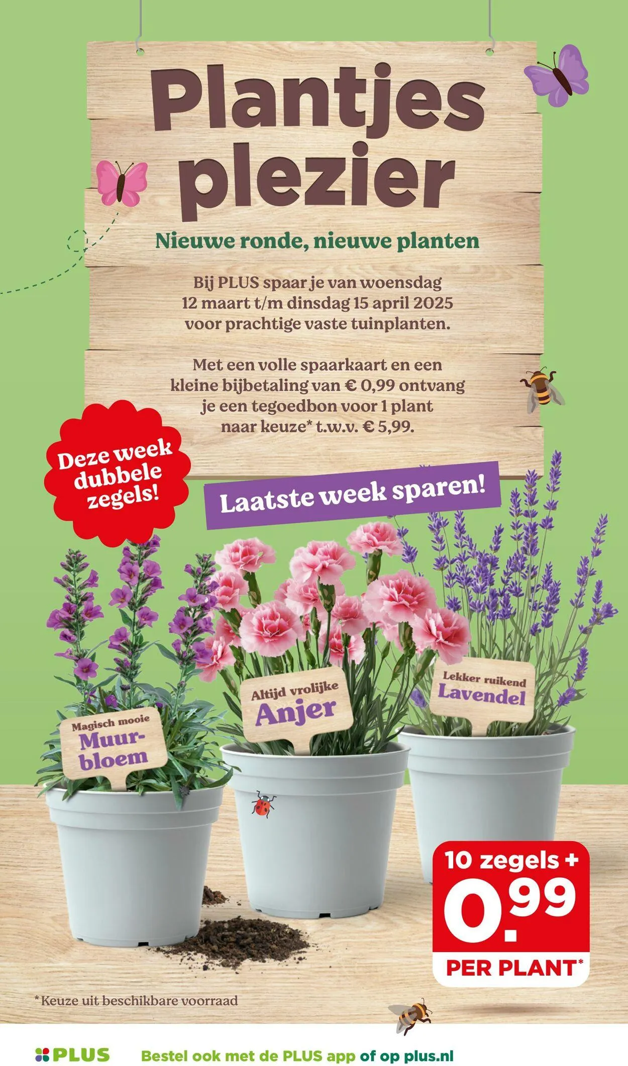 Plus Actuele folder van 21 september tot 5 oktober 2025 - Folder pagina 41