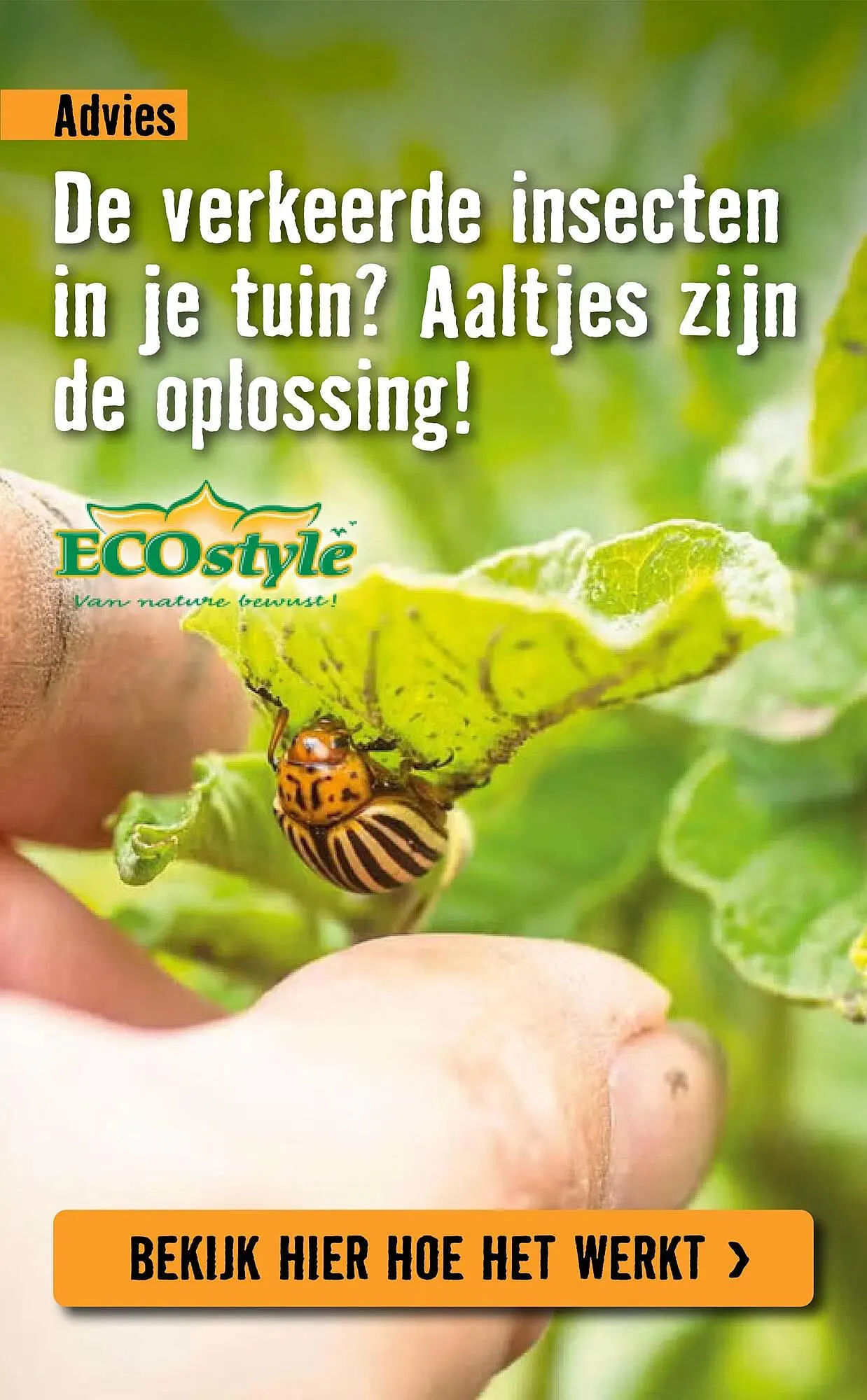 Hornbach folder van 6 april tot 3 mei 2026 - Folder pagina 21