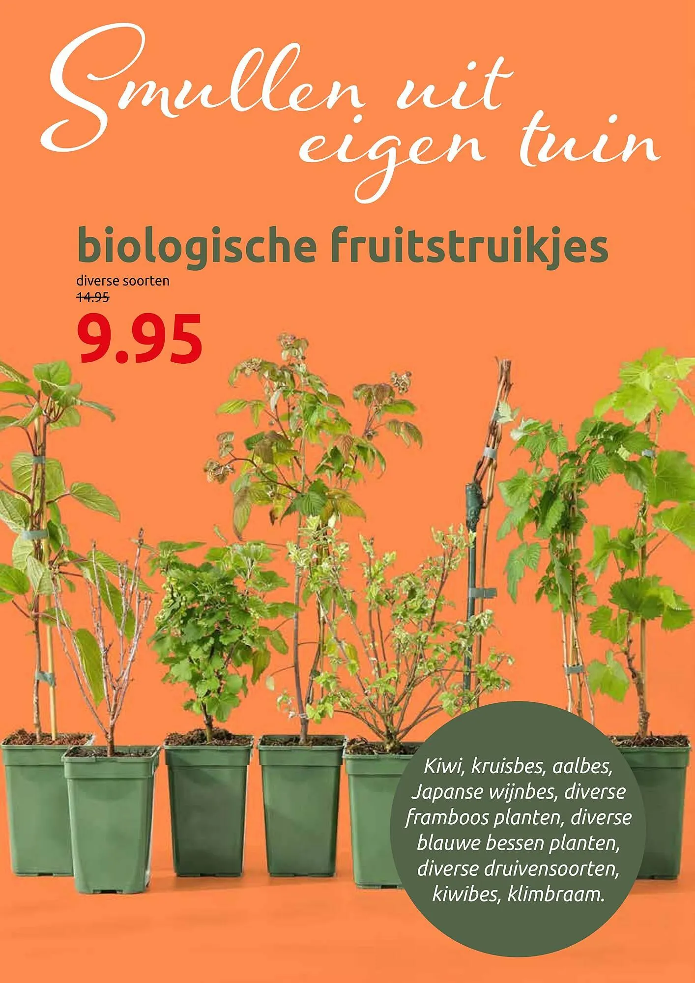 Deka Tuin folder van 2 maart tot 15 maart 2026 - Folder pagina 4