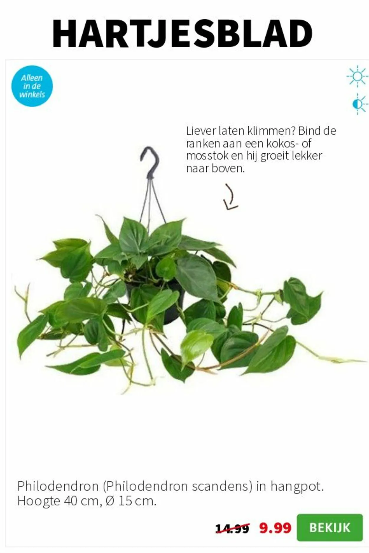 Intratuin Actuele folder van 16 maart tot 30 maart 2025 - Folder pagina 2