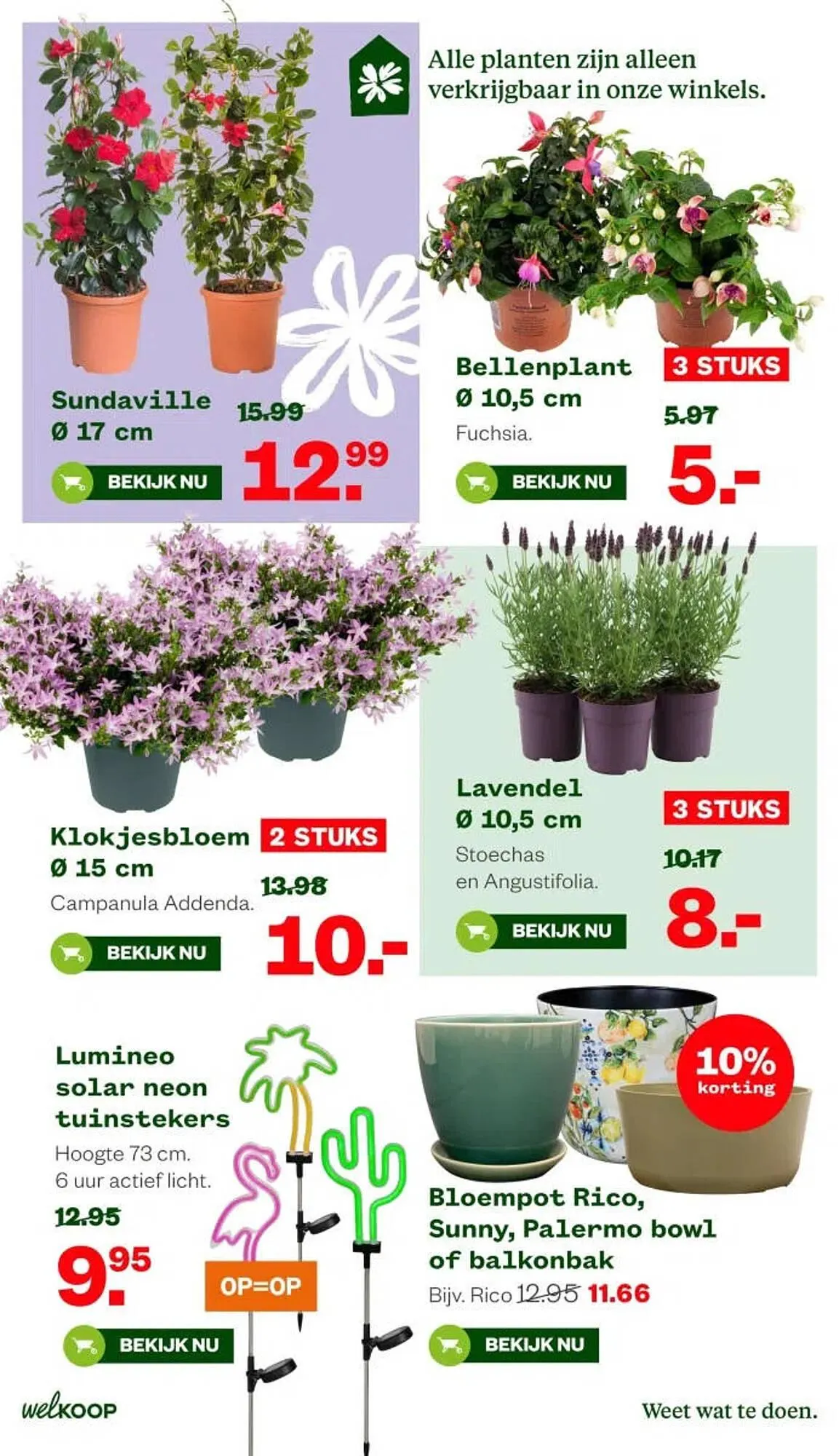 Welkoop folder van 13 april tot 19 april 2026 - Folder pagina 3