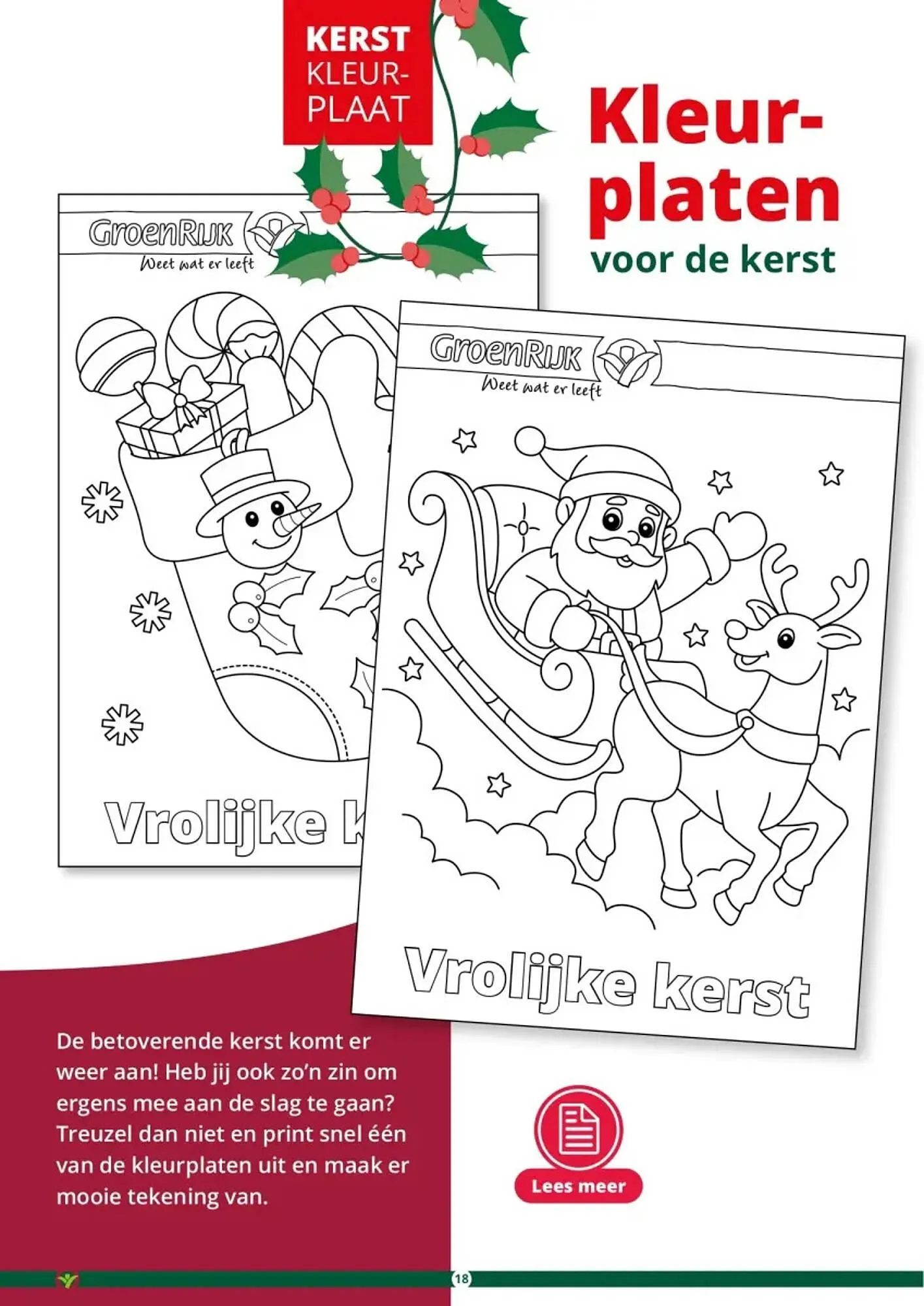 GroenRijk folder van 1 november tot 26 december 2023 - Folder pagina 18