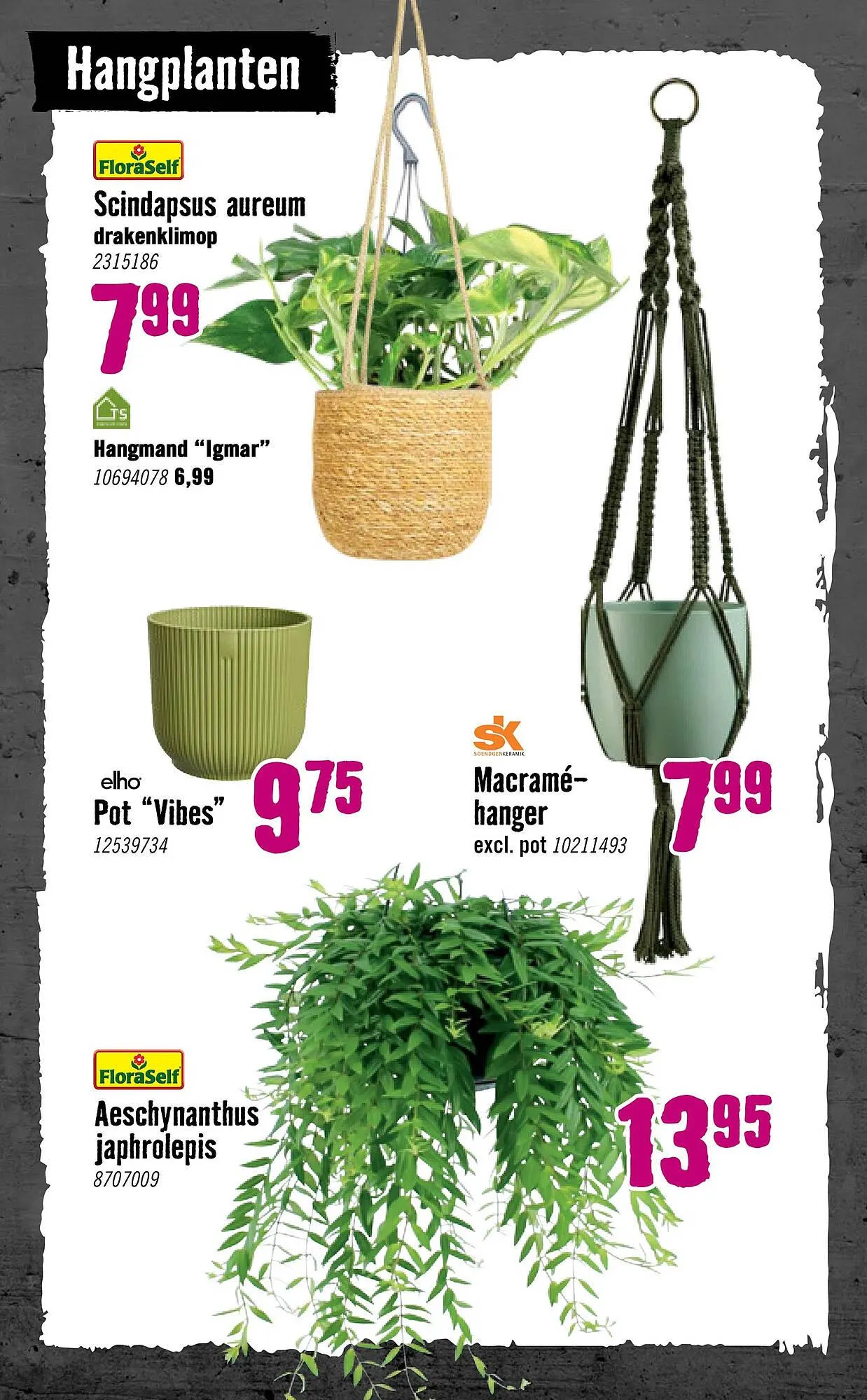 Hornbach folder van 5 januari tot 8 februari 2026 - Folder pagina 75