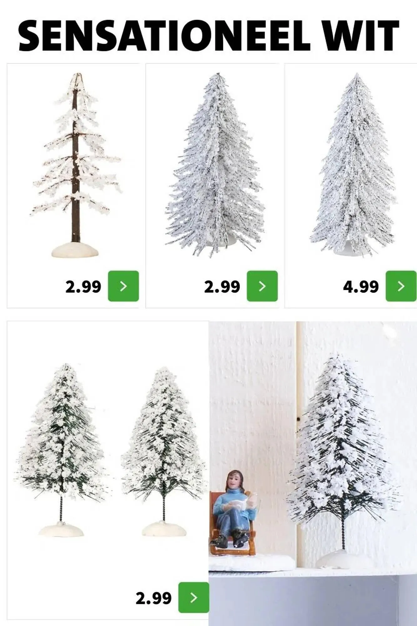 Intratuin folder van 9 oktober tot 24 december 2025 - Folder pagina 41