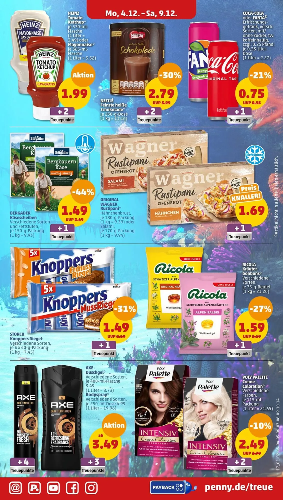 Penny DE folder van 4 december tot 9 december 2023 - Folder pagina 17