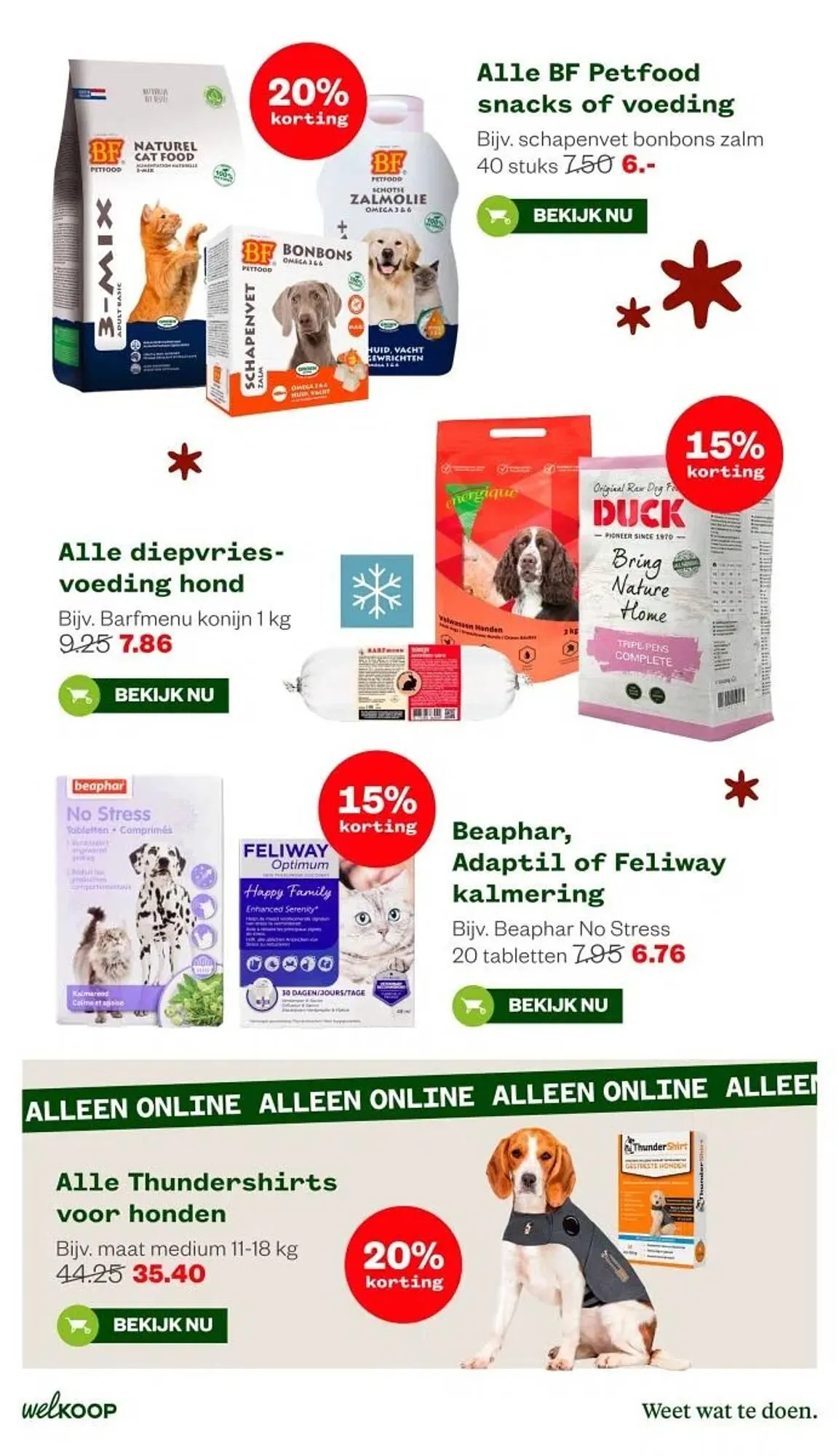 Welkoop folder van 15 december tot 21 december 2025 - Folder pagina 13