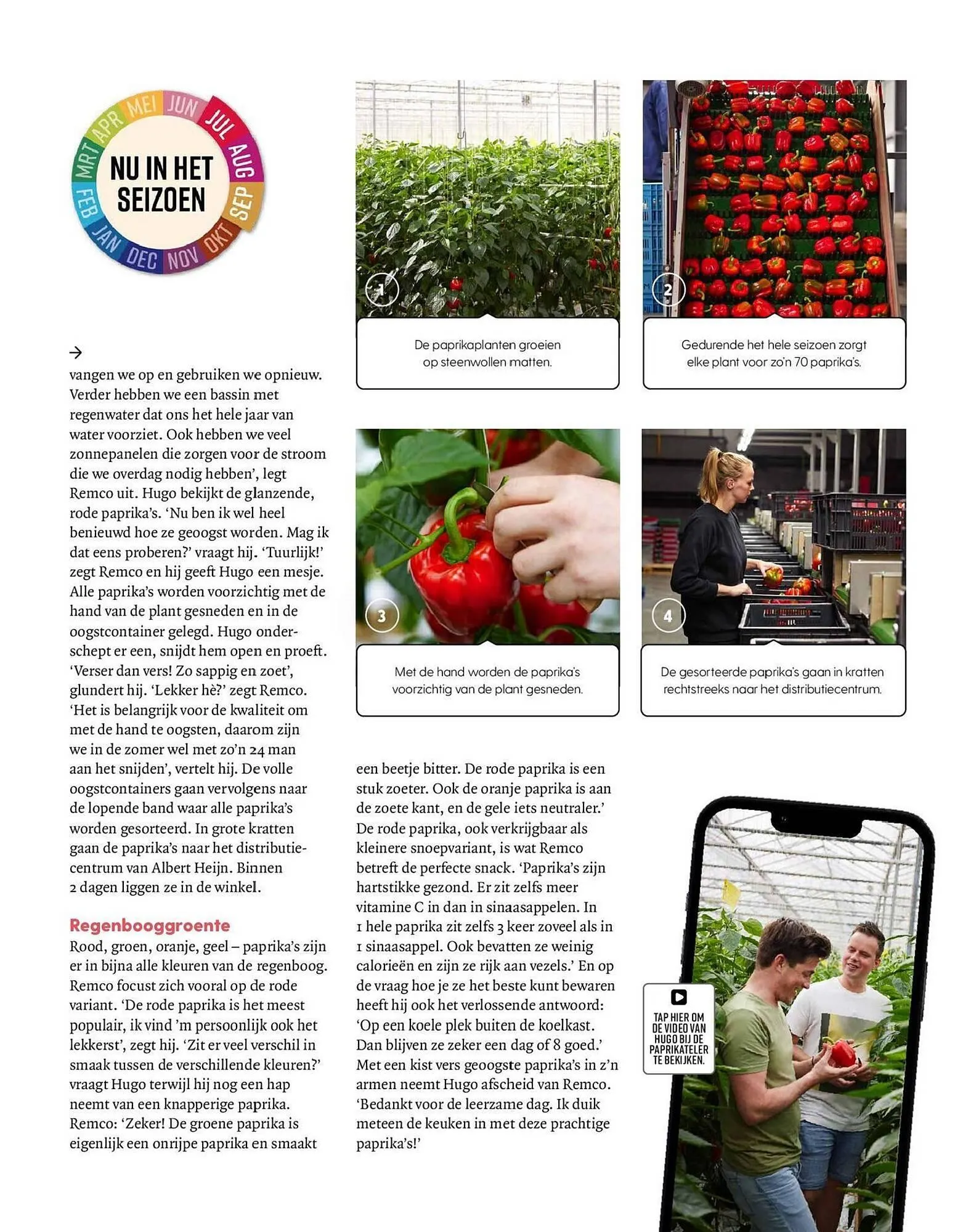 Allerhande magazine van 1 juli tot 31 juli 2024 - Folder pagina 64