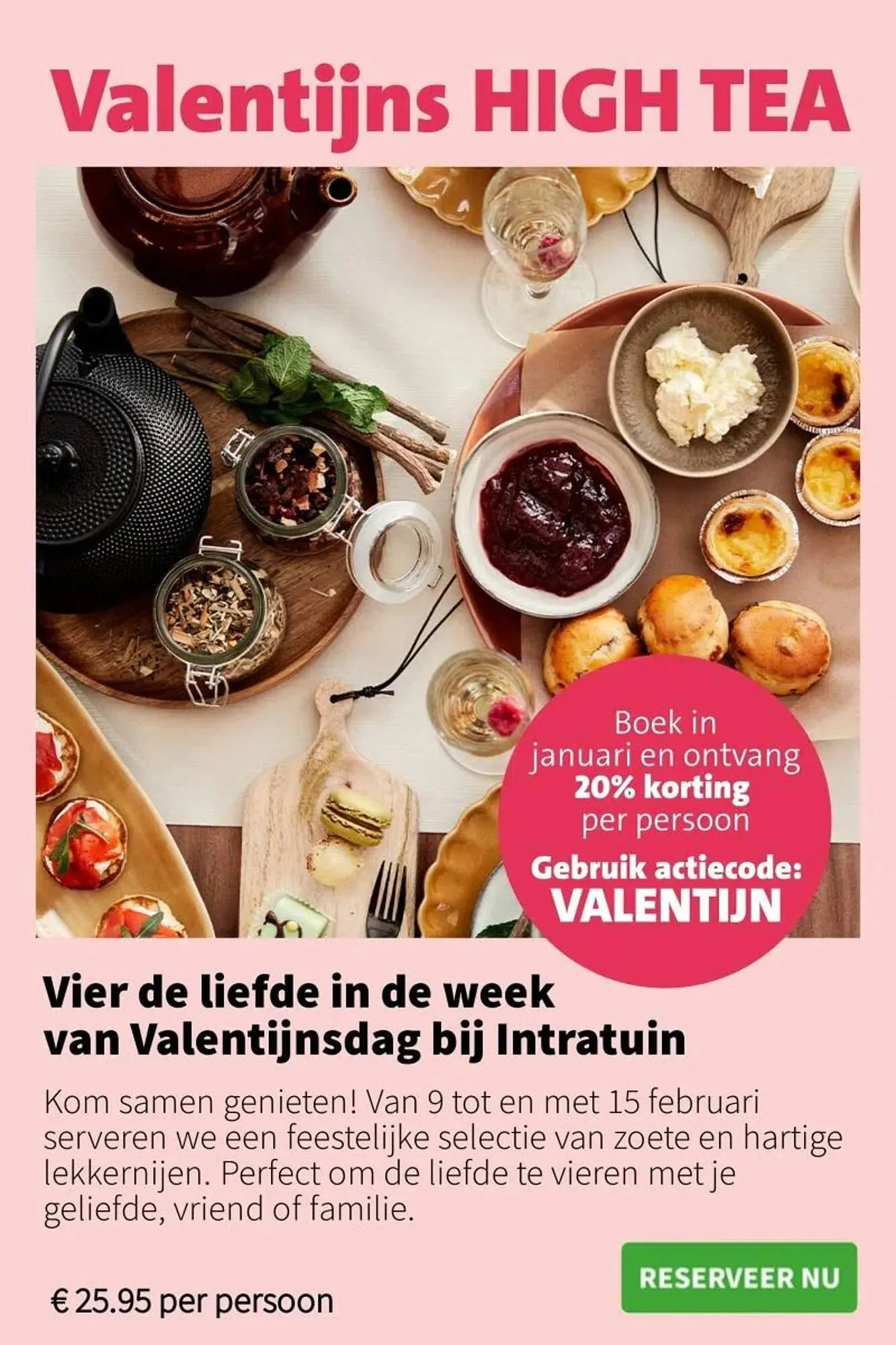 Intratuin folder van 5 januari tot 11 januari 2026 - Folder pagina 16