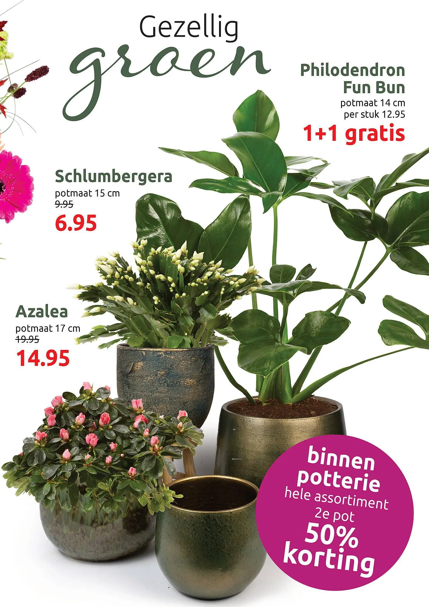 Deka Tuin folder van 24 november tot 7 december 2025 - Folder pagina 3