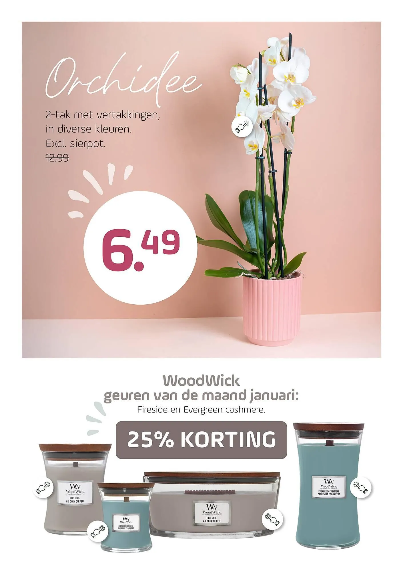 Coppelmans folder van 14 januari tot 25 januari 2026 - Folder pagina 7