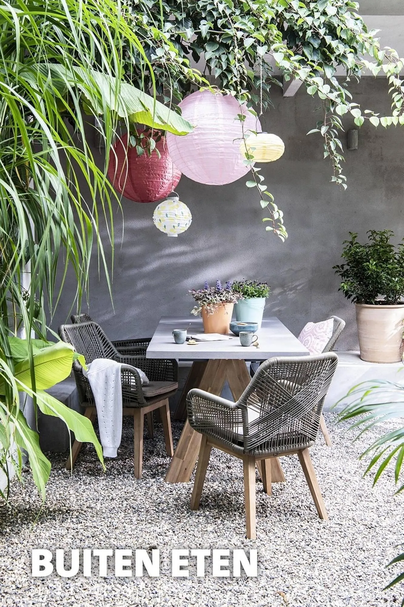 Intratuin folder van 22 maart tot 13 augustus 2023 - Folder pagina 30