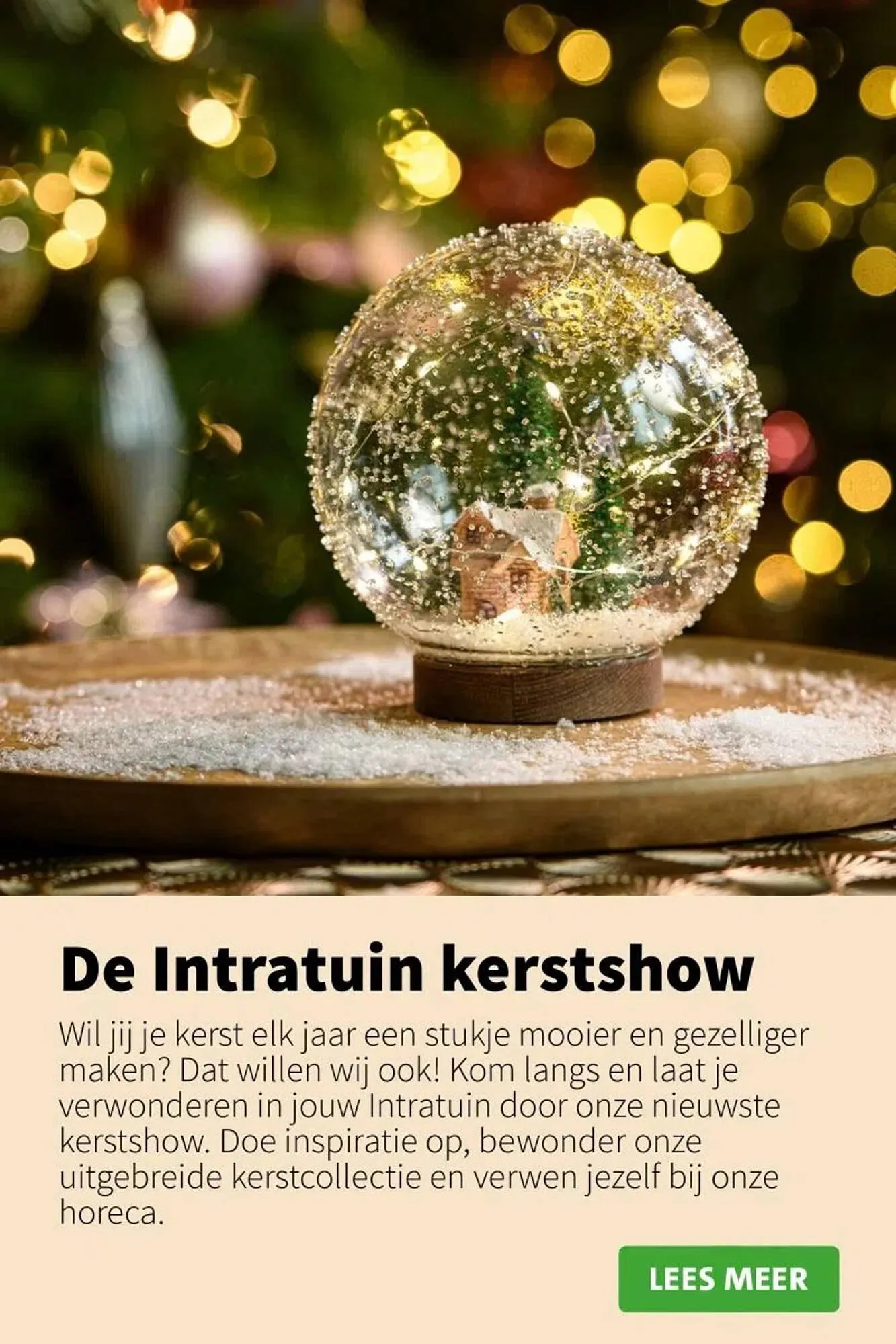 Intratuin folder van 9 oktober tot 24 december 2025 - Folder pagina 44