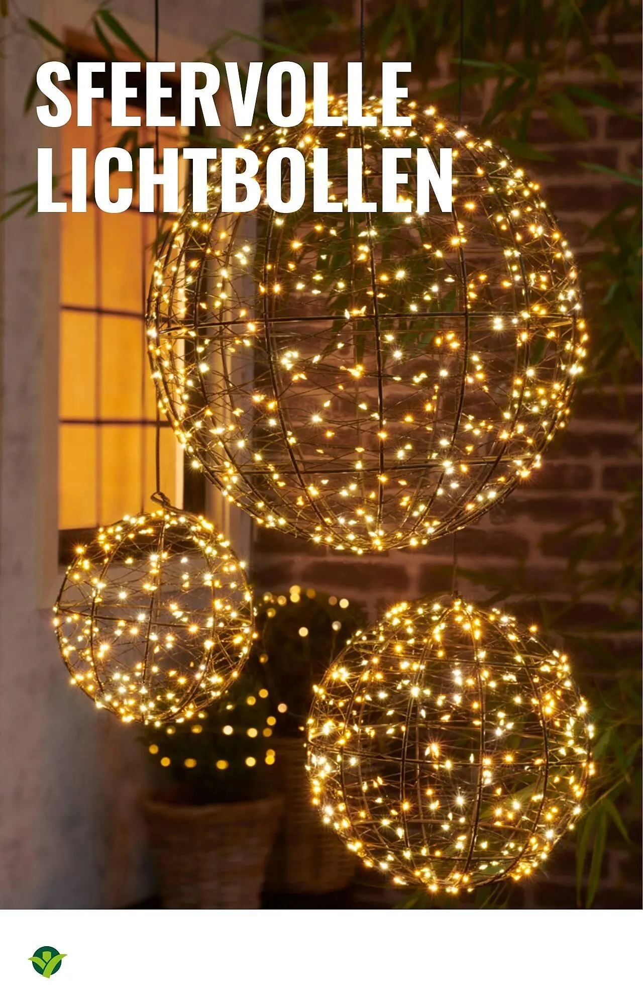 GroenRijk folder van 5 november tot 11 november 2025 - Folder pagina 12