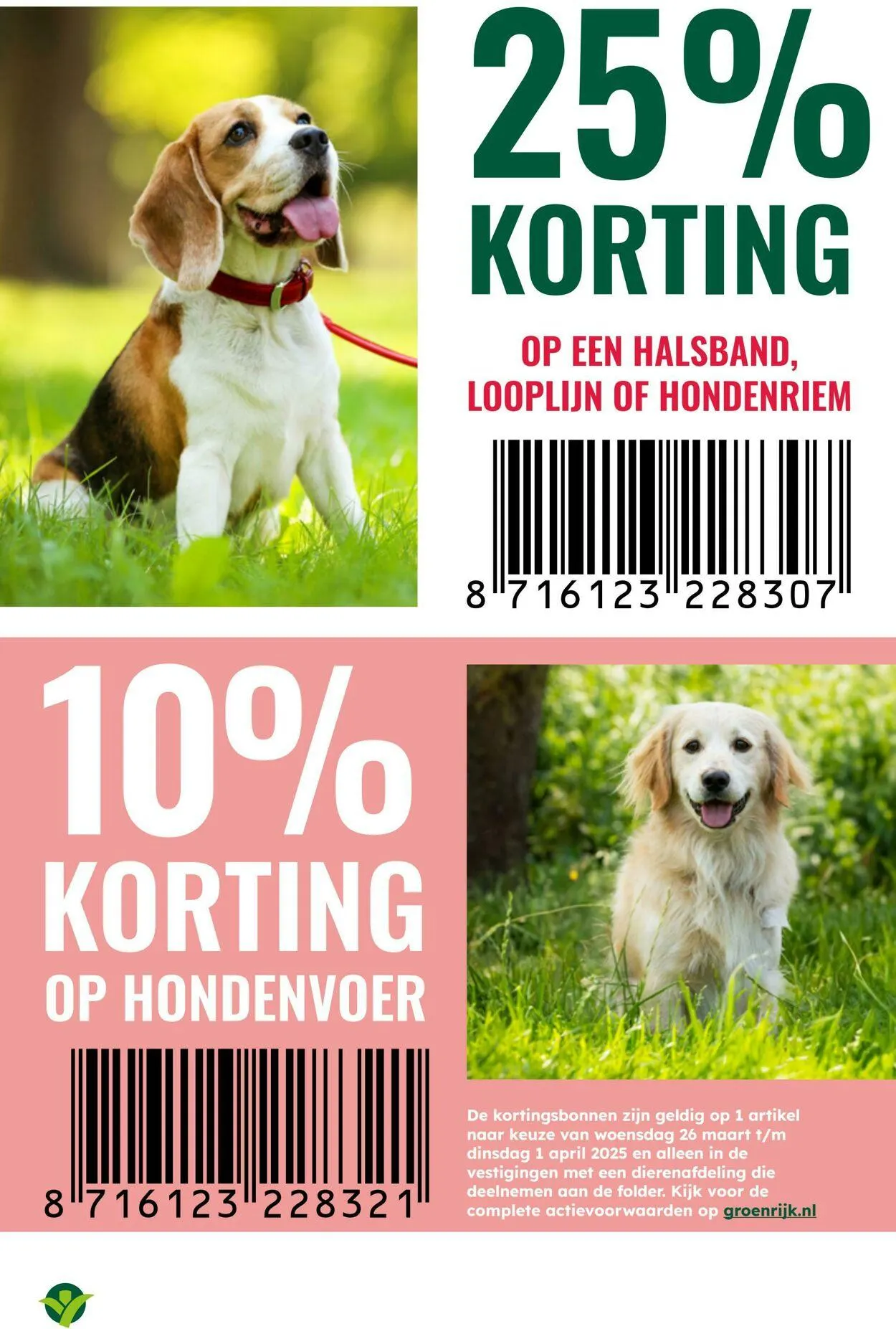 GroenRijk Actuele folder van 10 juni tot 24 juni 2025 - Folder pagina 19